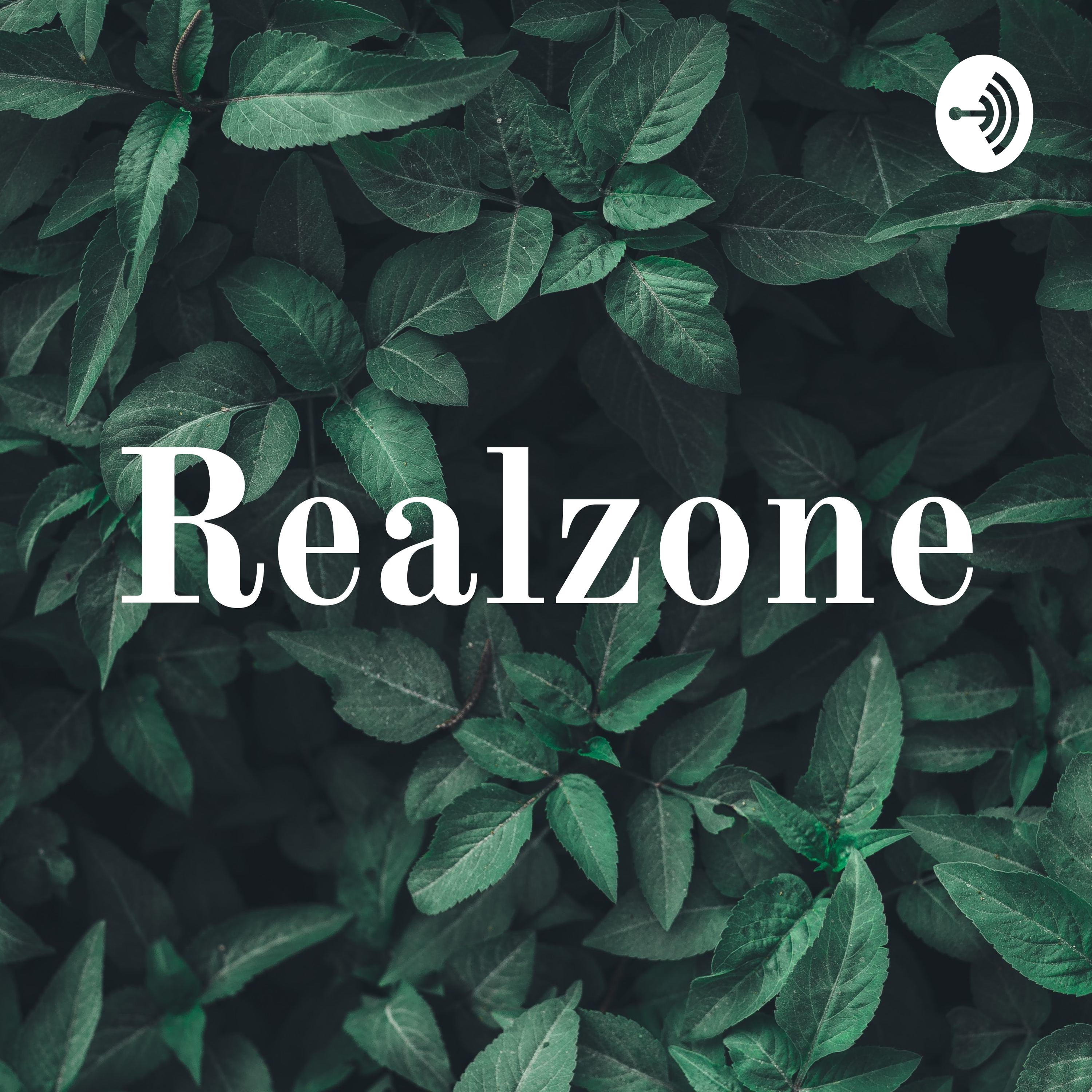 Realzone podcast artwork