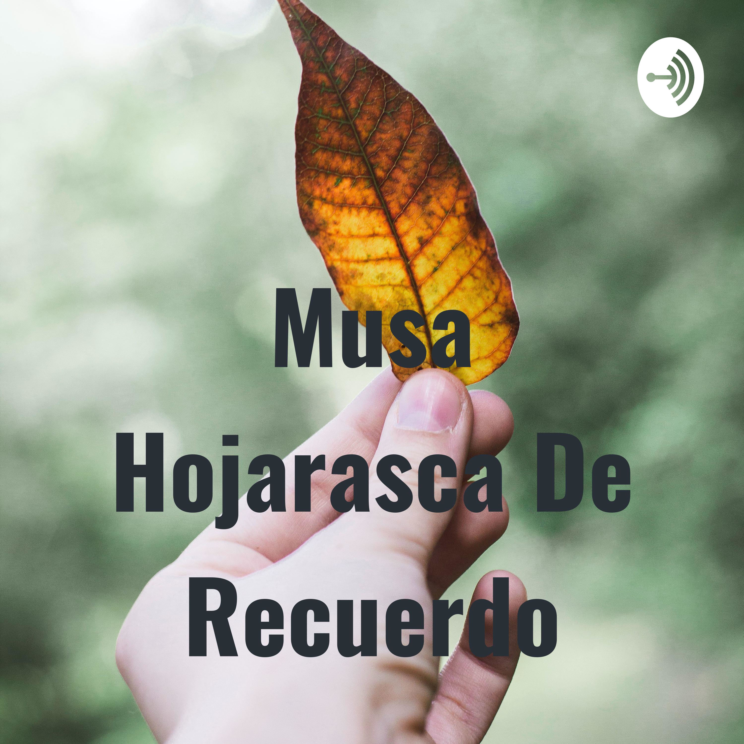 Musa Hojarasca De Recuerdo Musa Hojarasca De Recuerdo