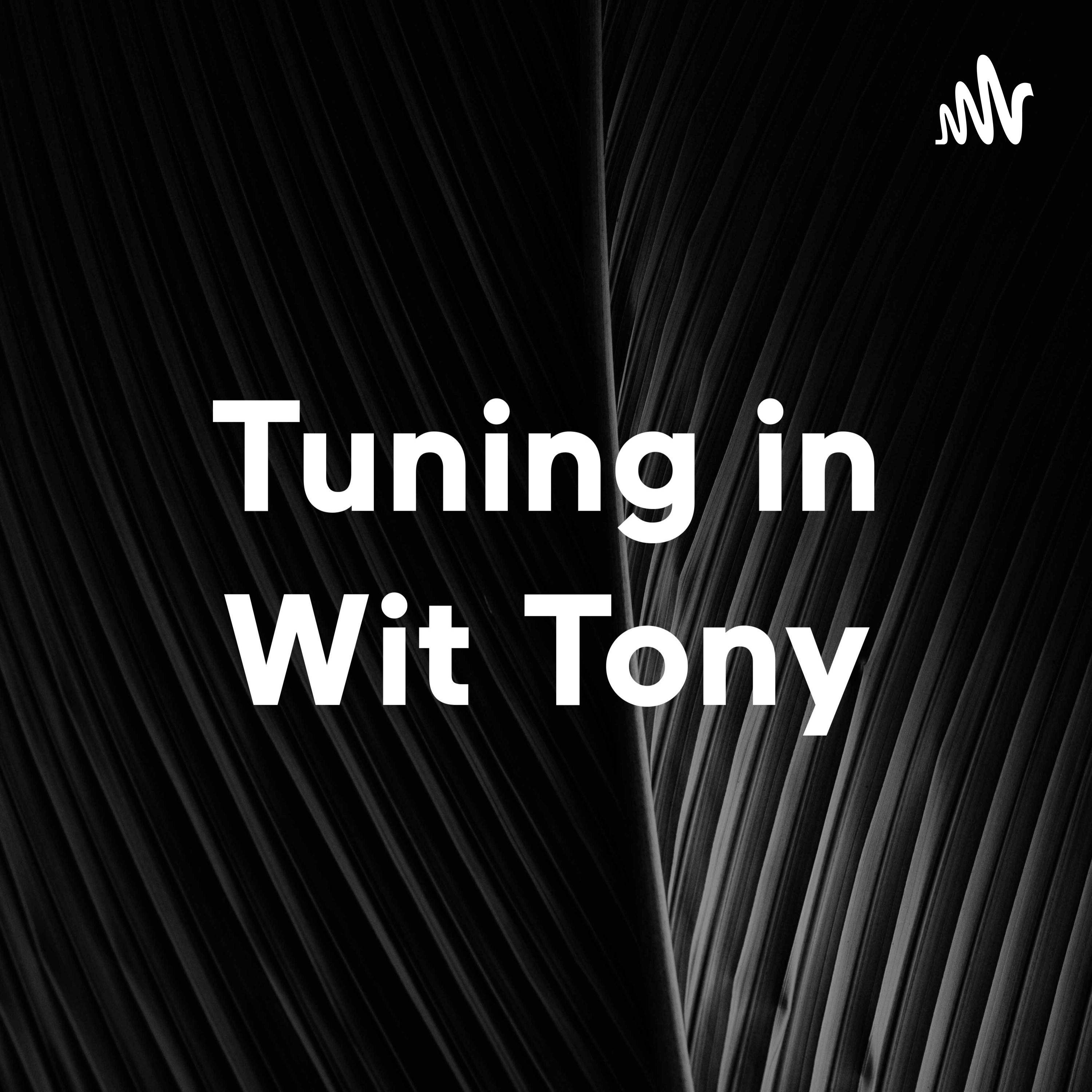 Tuning in Wit Tony cover art