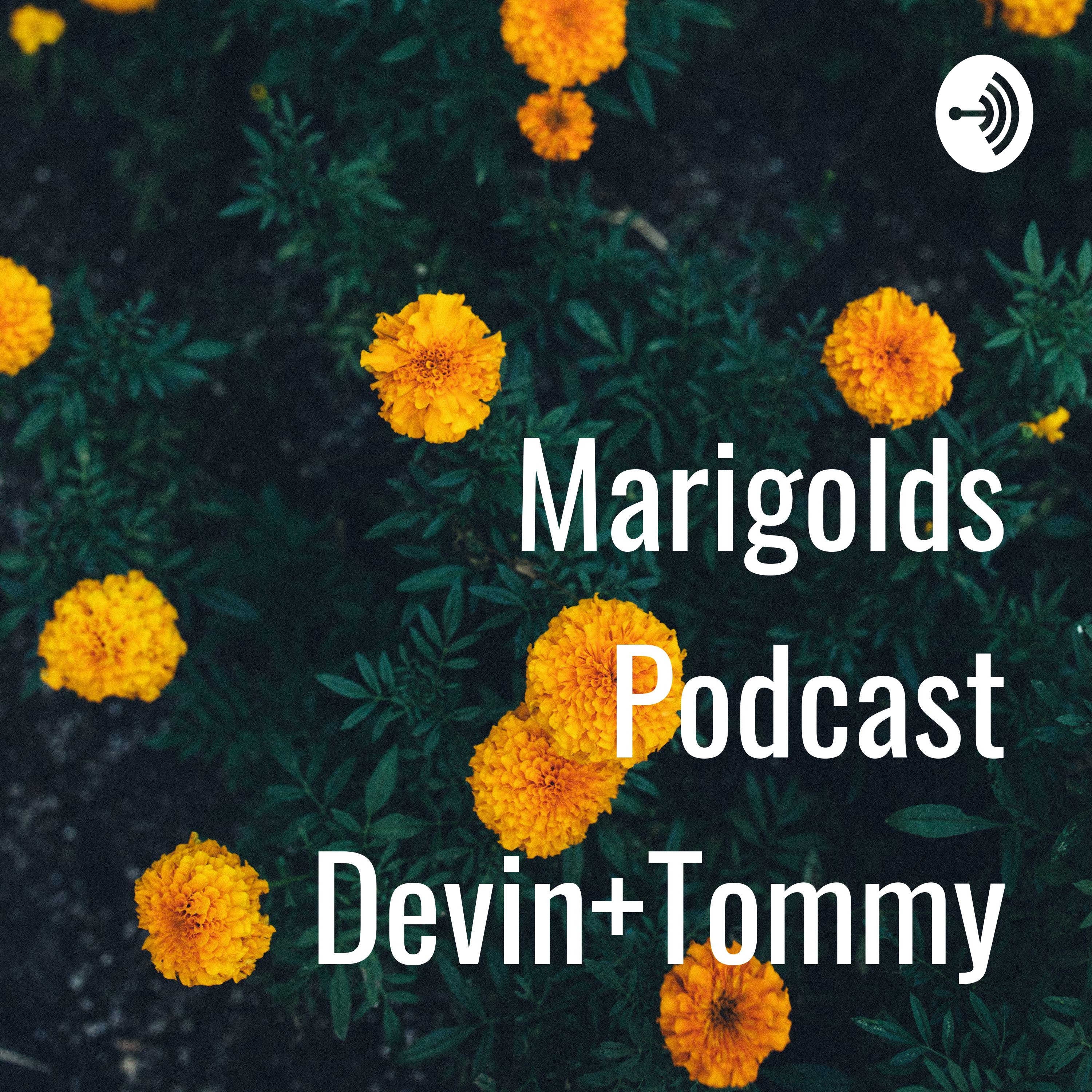 Marigolds Podcast Devin+Tommy