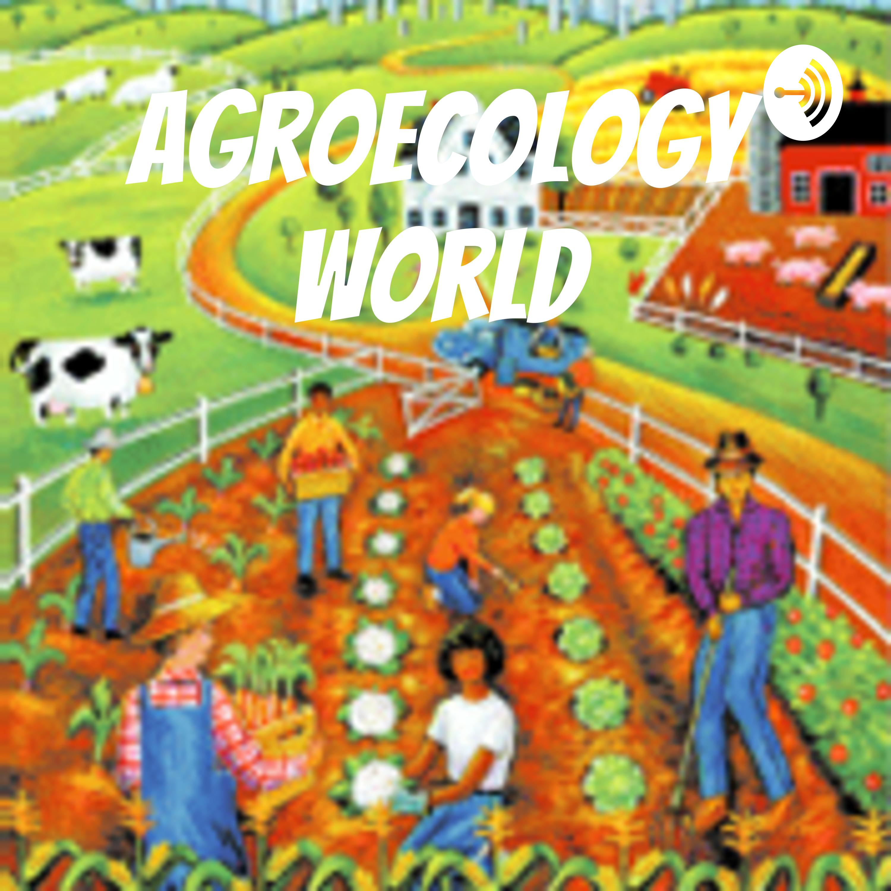 Episode 8_Agroecology World, Chiang Mai, Thailand