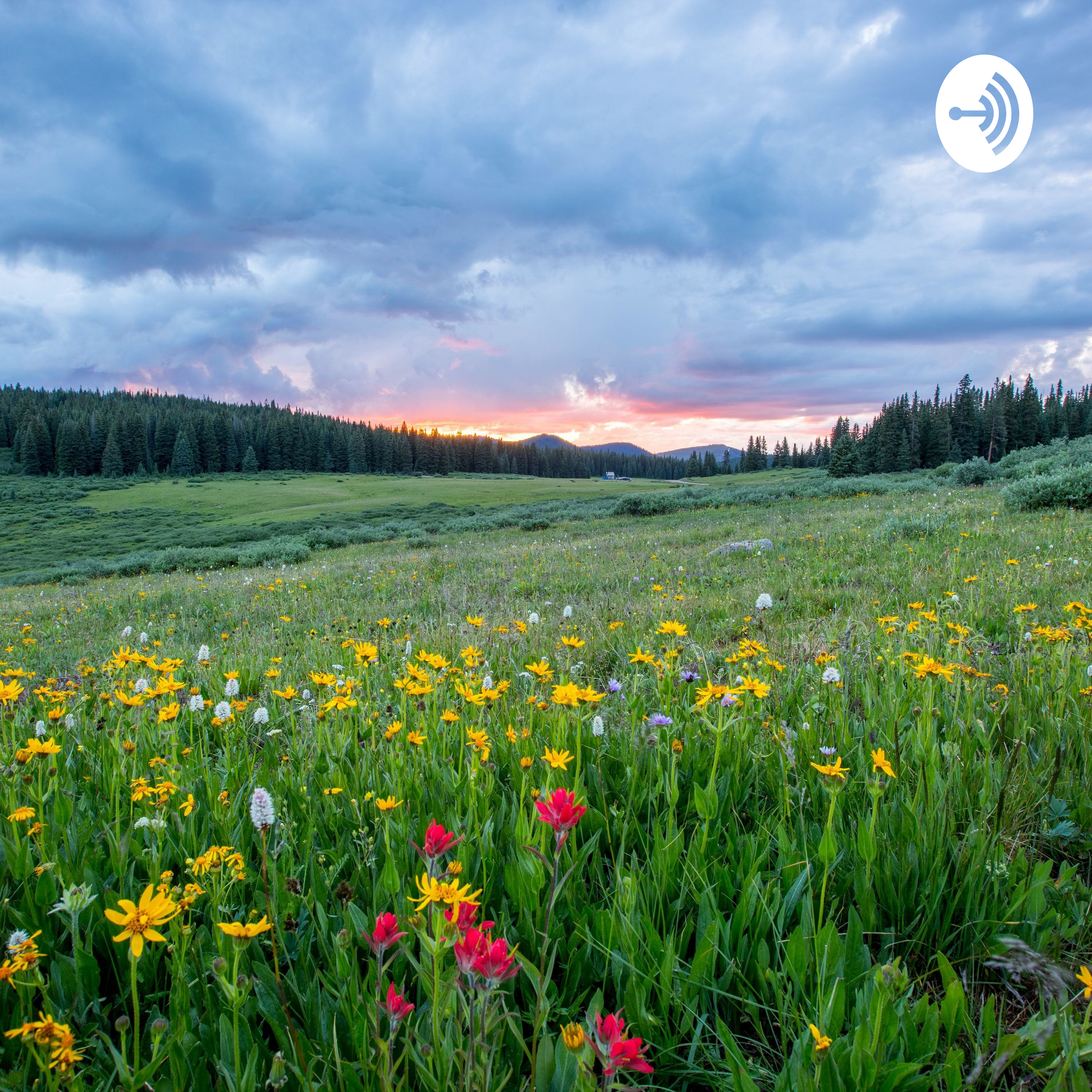 Golden Voice Vasanth podcast artwork