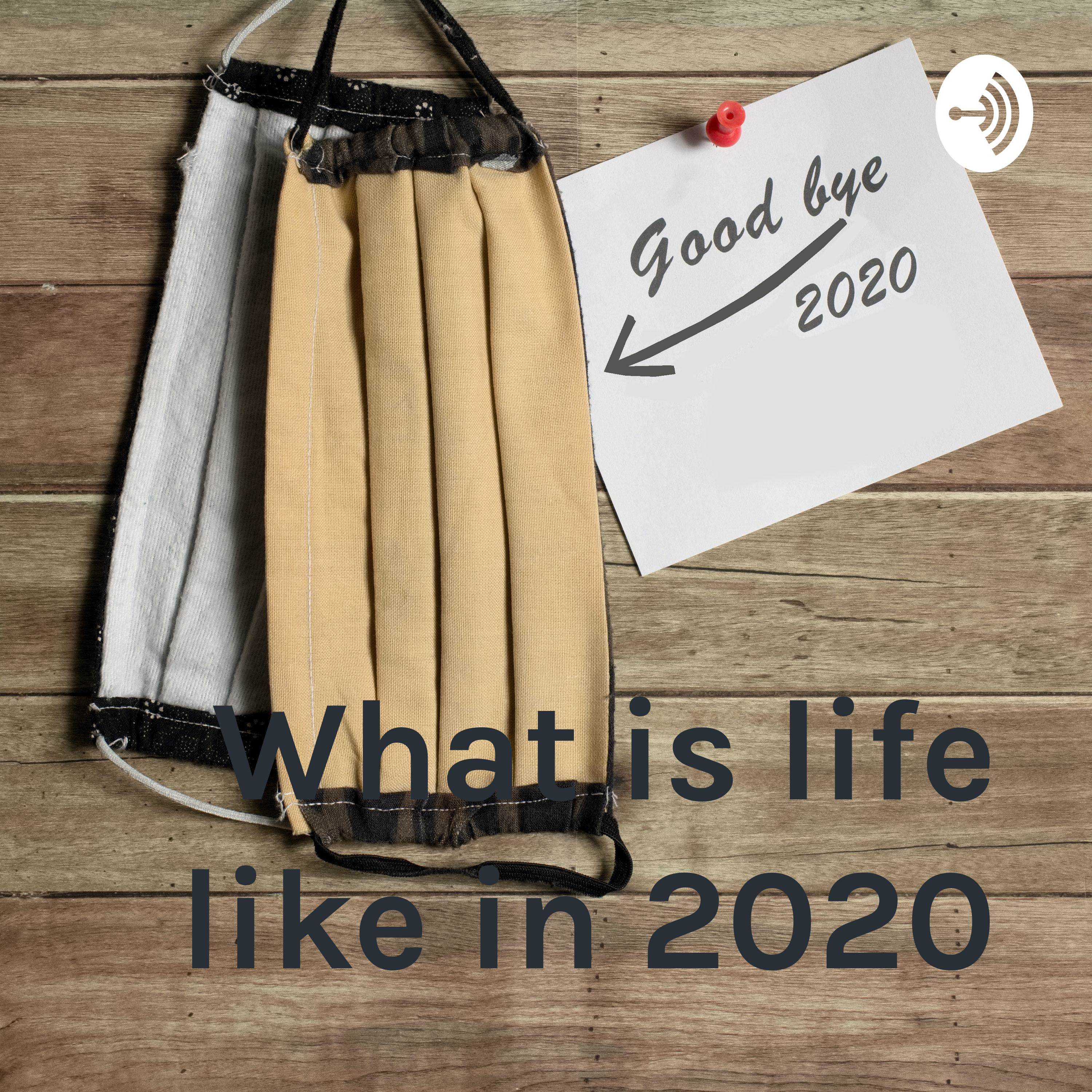 What is life like in 2020
