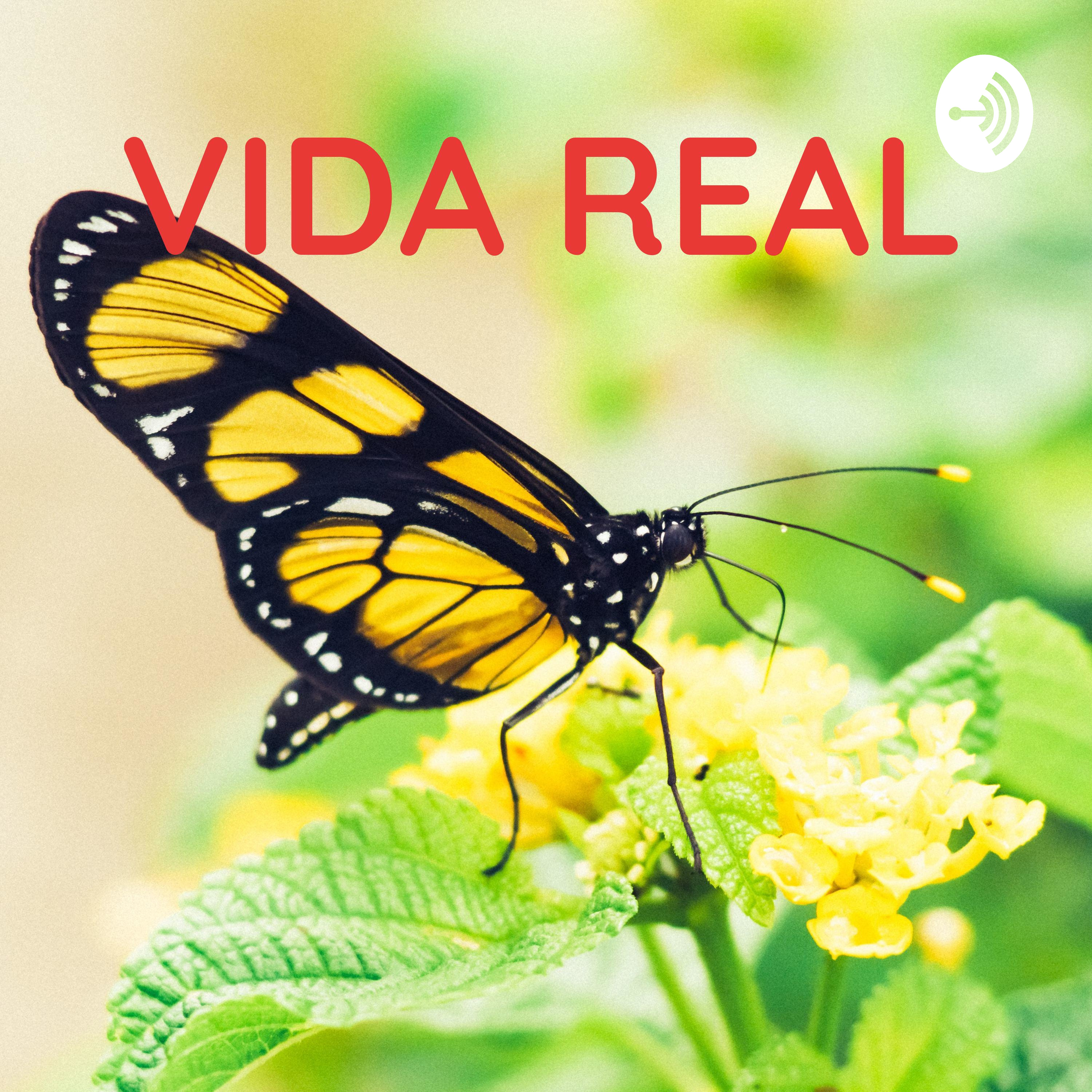 VIDA REAL🦋🌟🚘 podcast artwork