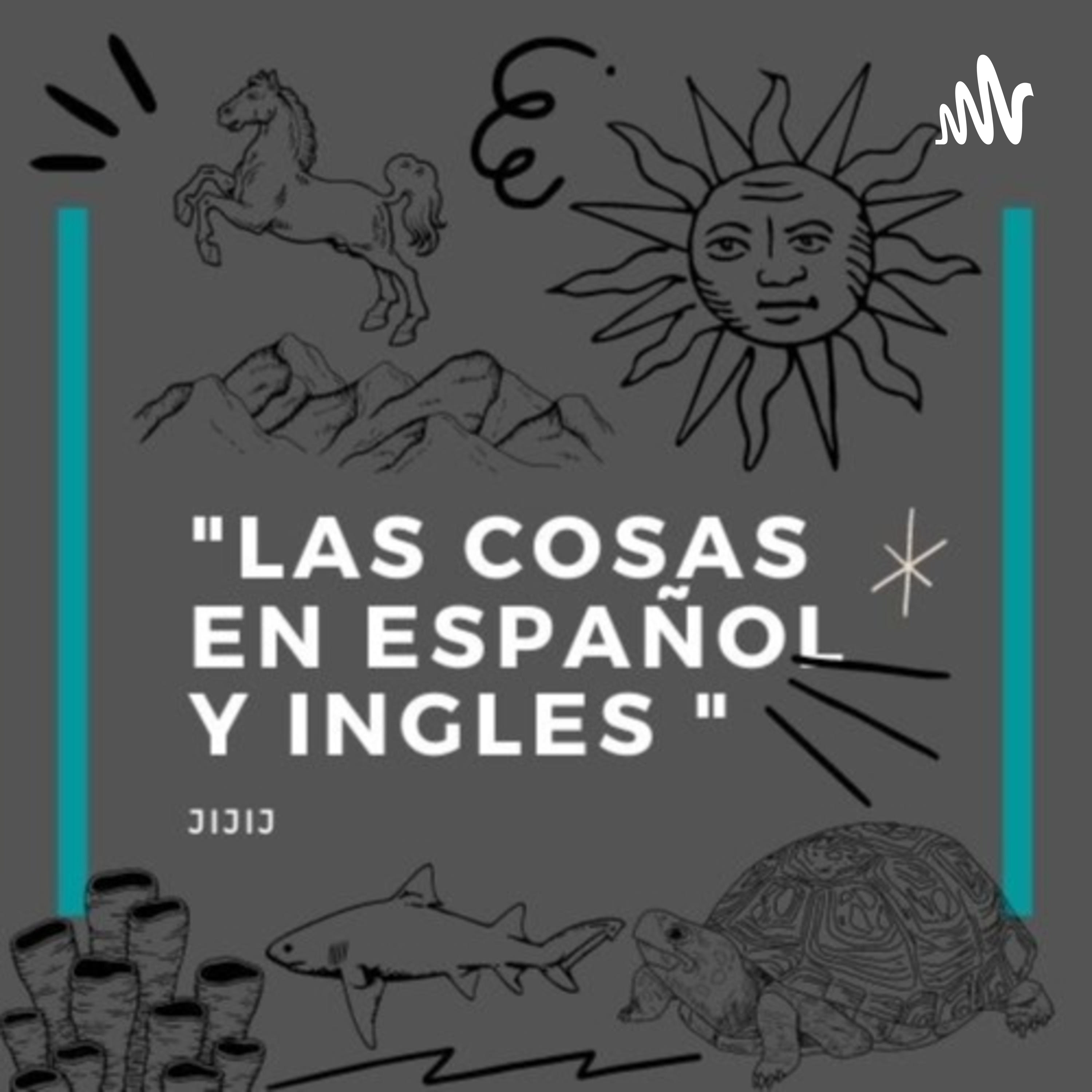 Las cosas en Español y English