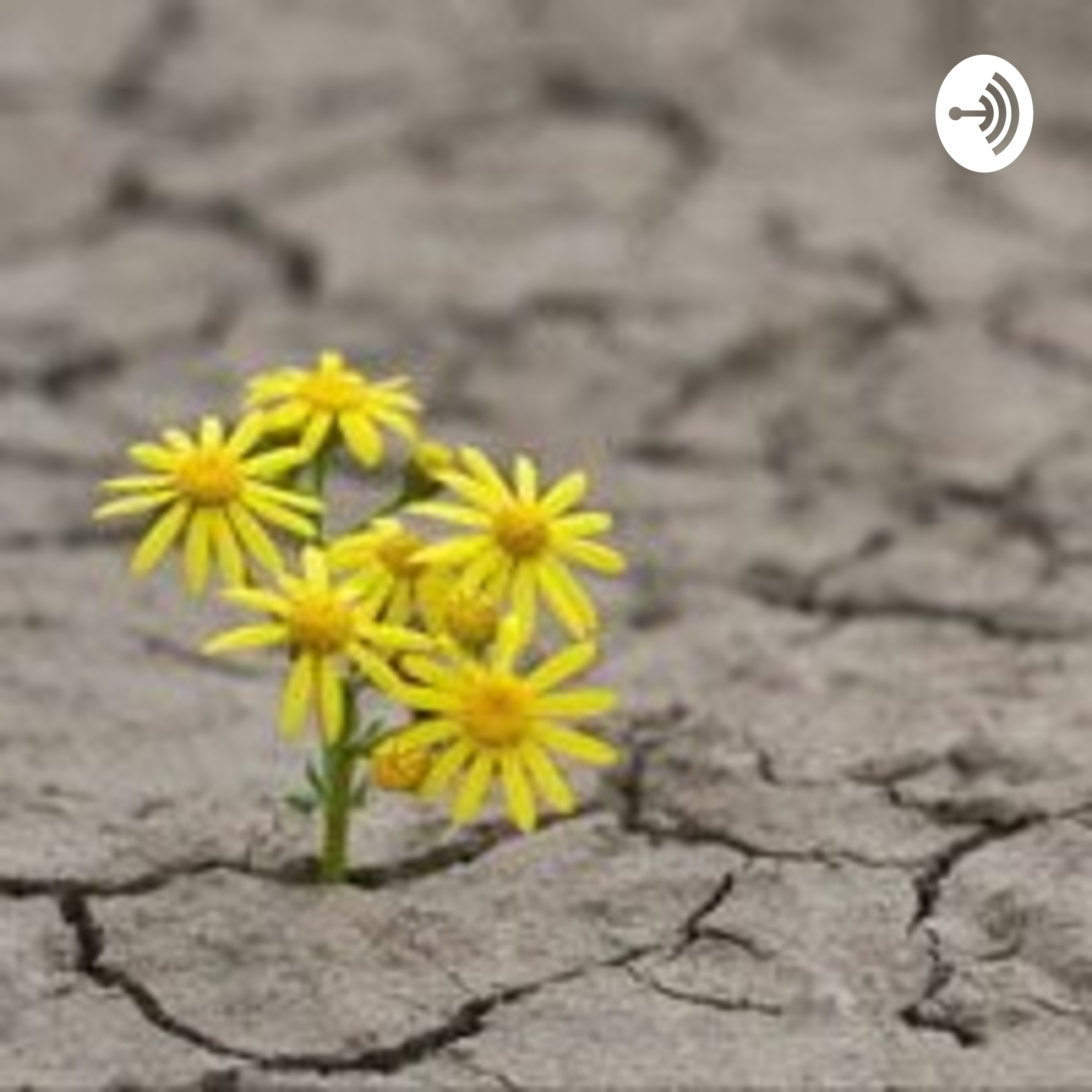 کاور امید در دوران قرنطینه