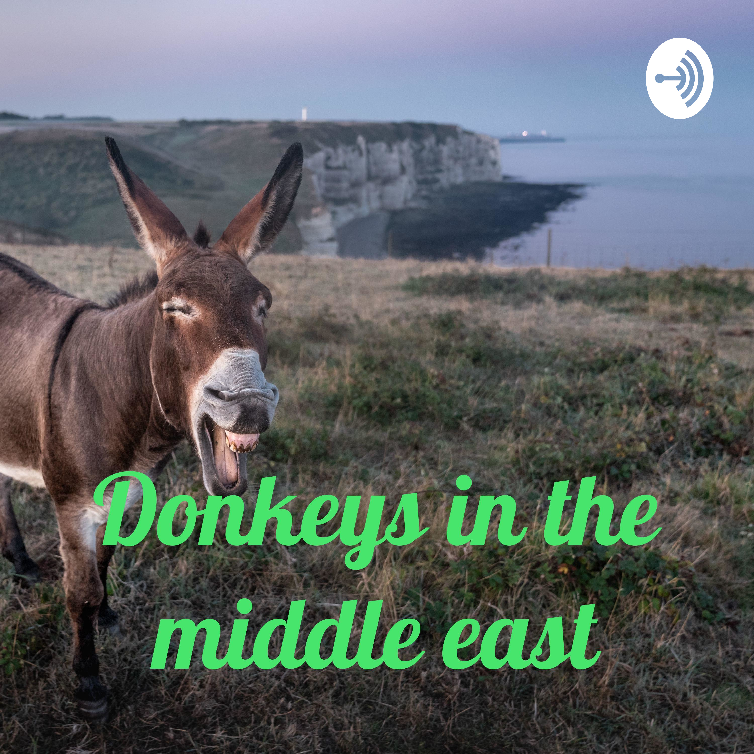 Donkeys in the middle east