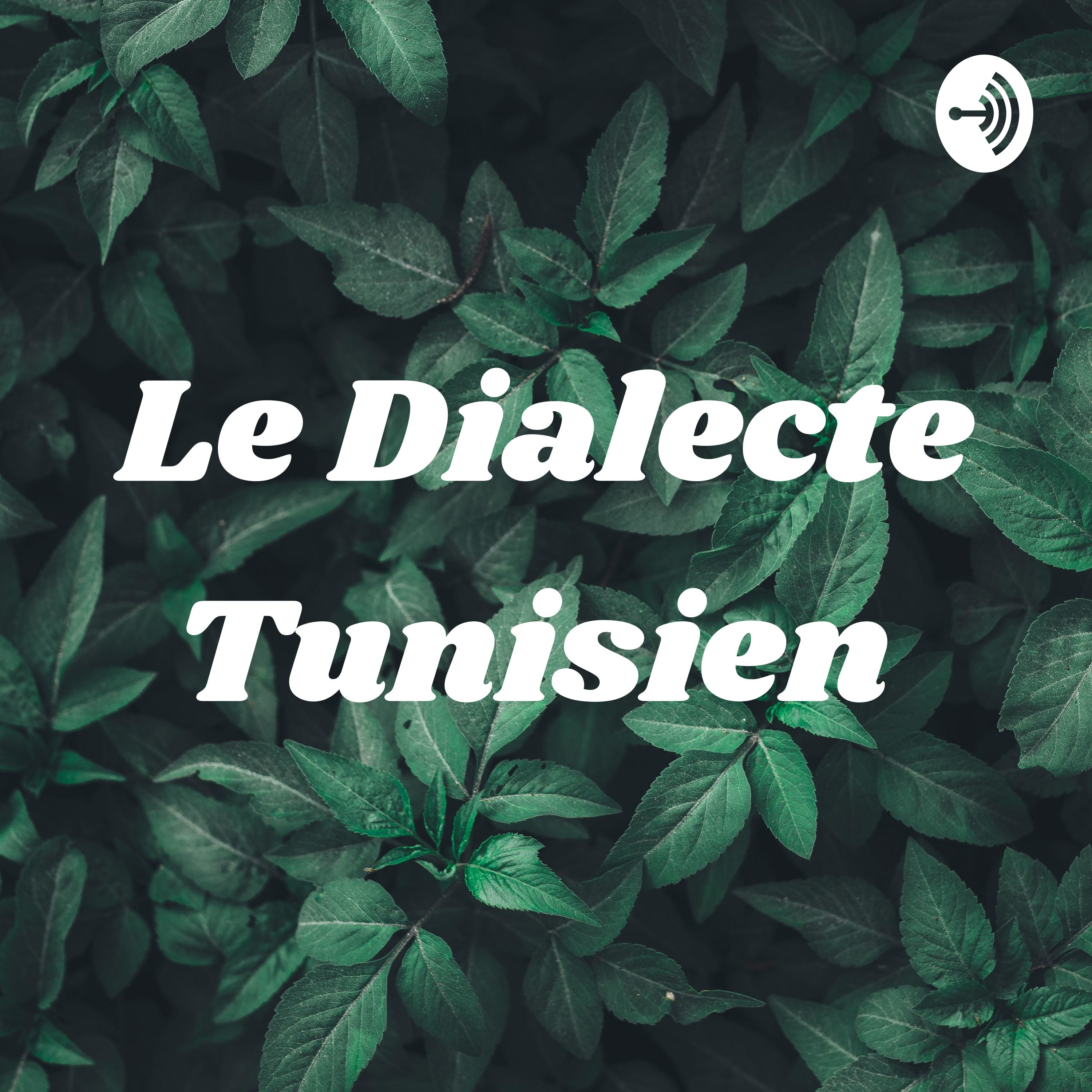 Le Dialecte Tunisien 