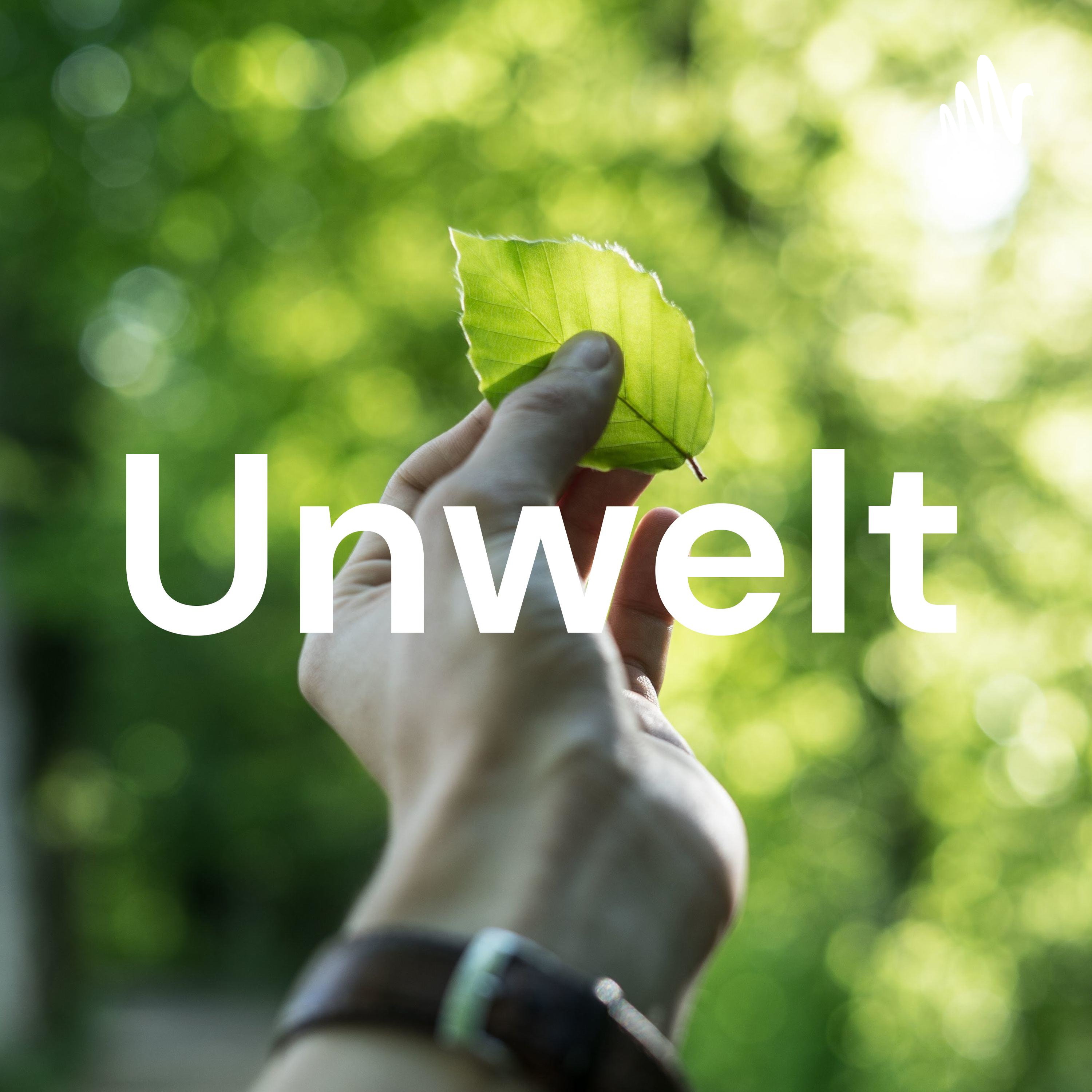 Unwelt cover art