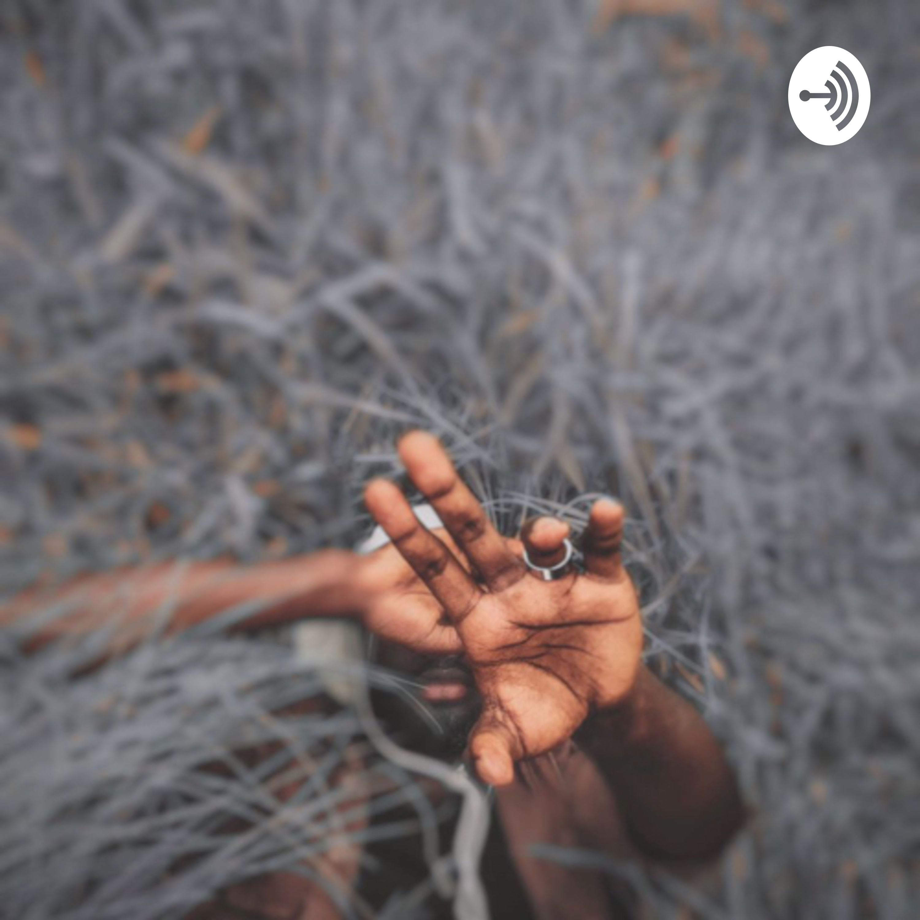 Lost podcast artwork