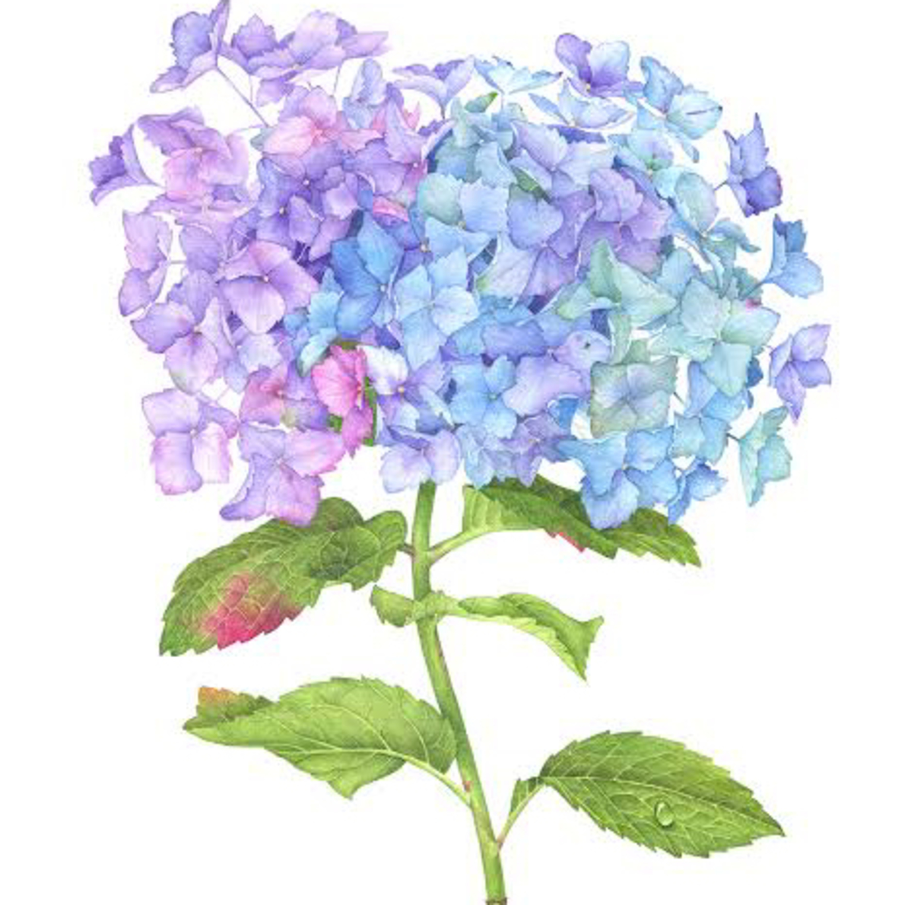 Full Bloom Treasures