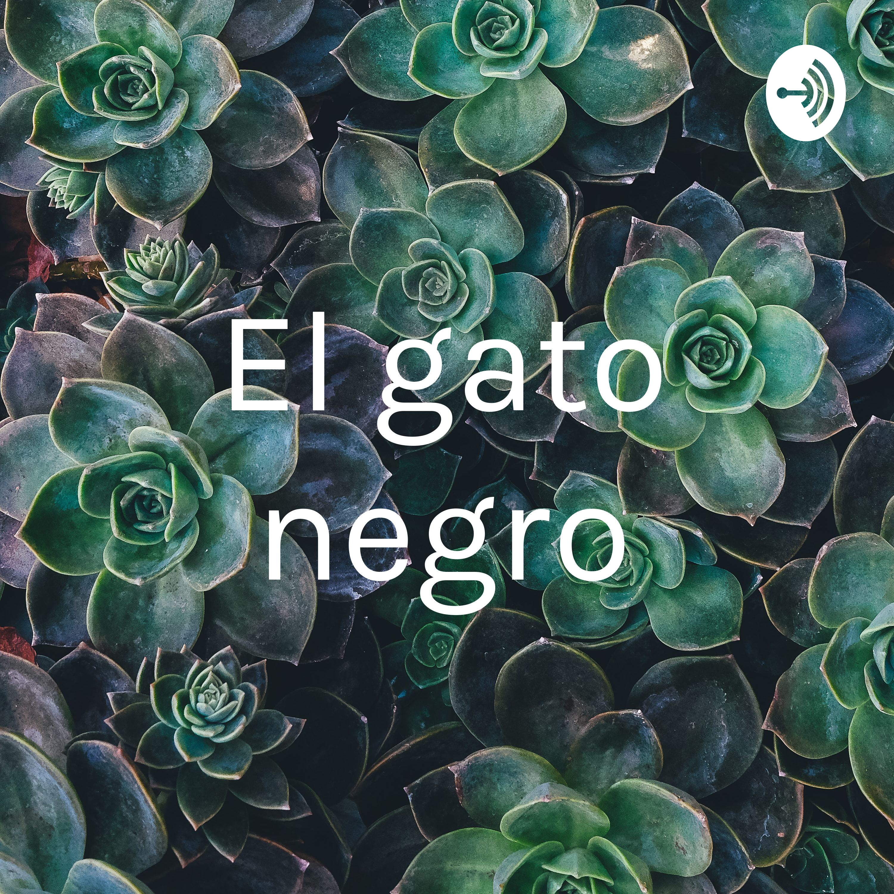 El gato negro