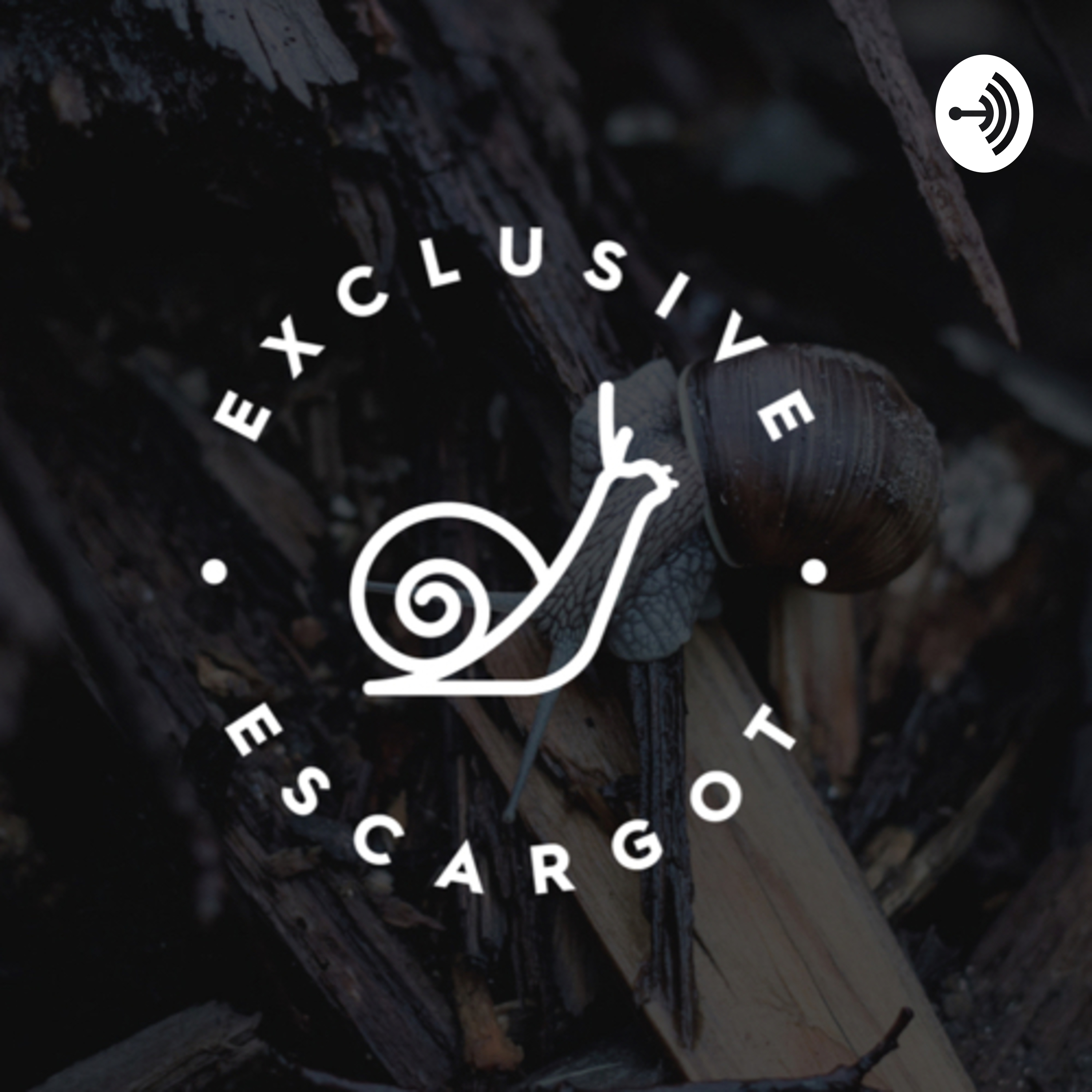 Exclusive Escargot - Snail Farms Worldwide 