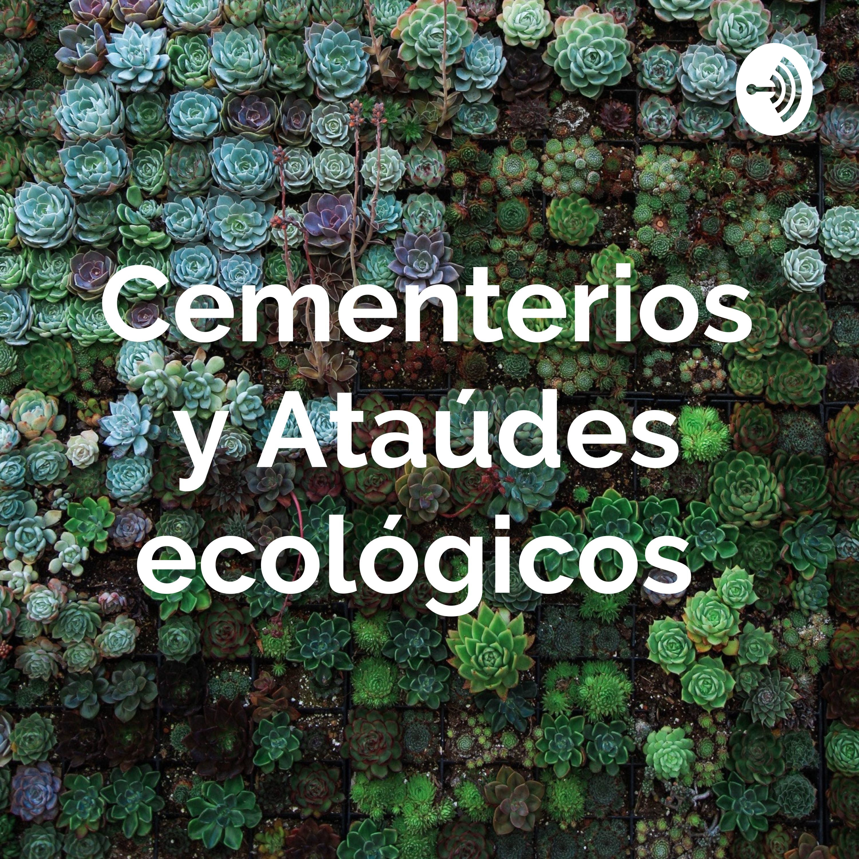 Cementerios y Ataúdes ecológicos