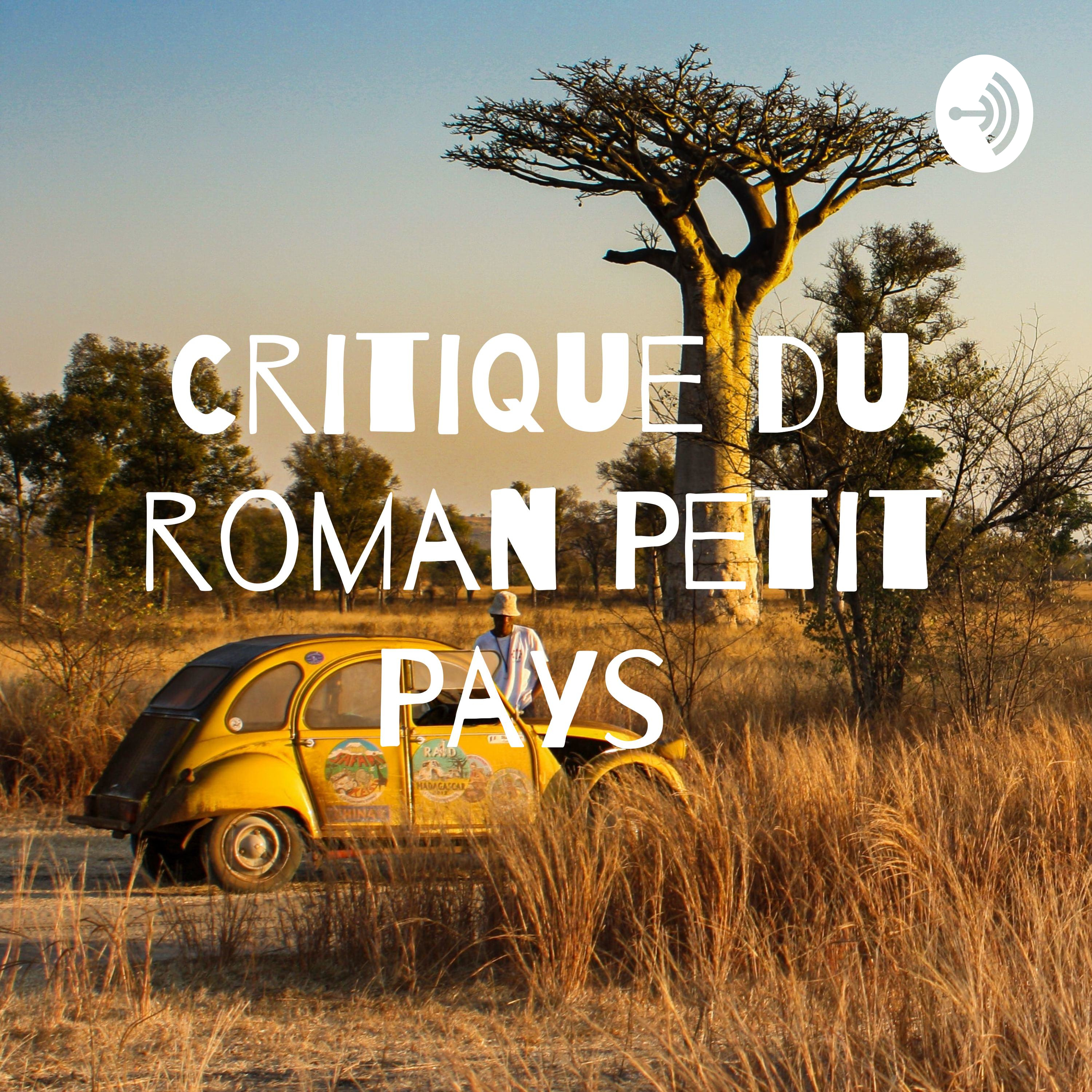 Critique du roman Petit Pays 