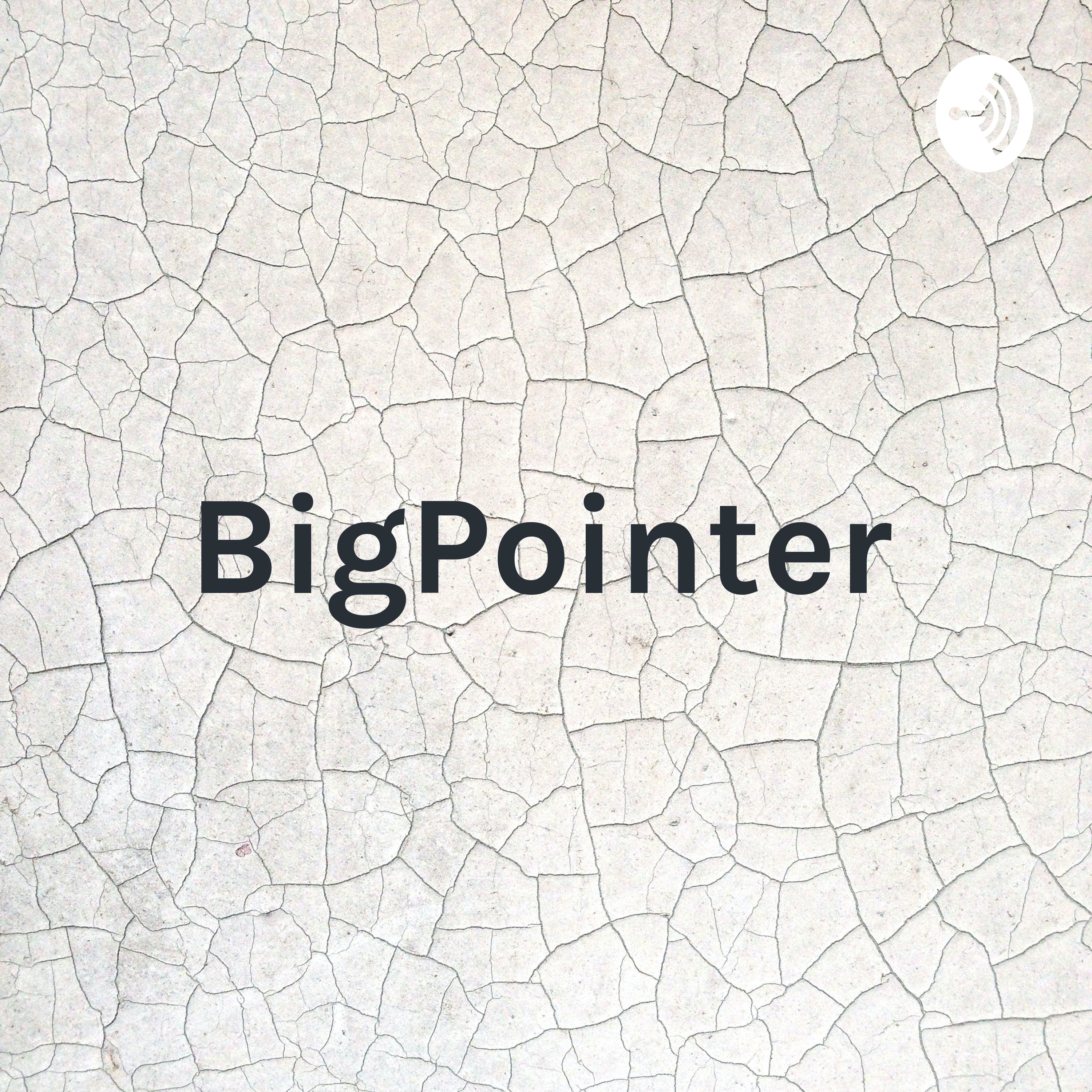 BigPointer - pimp dein Team