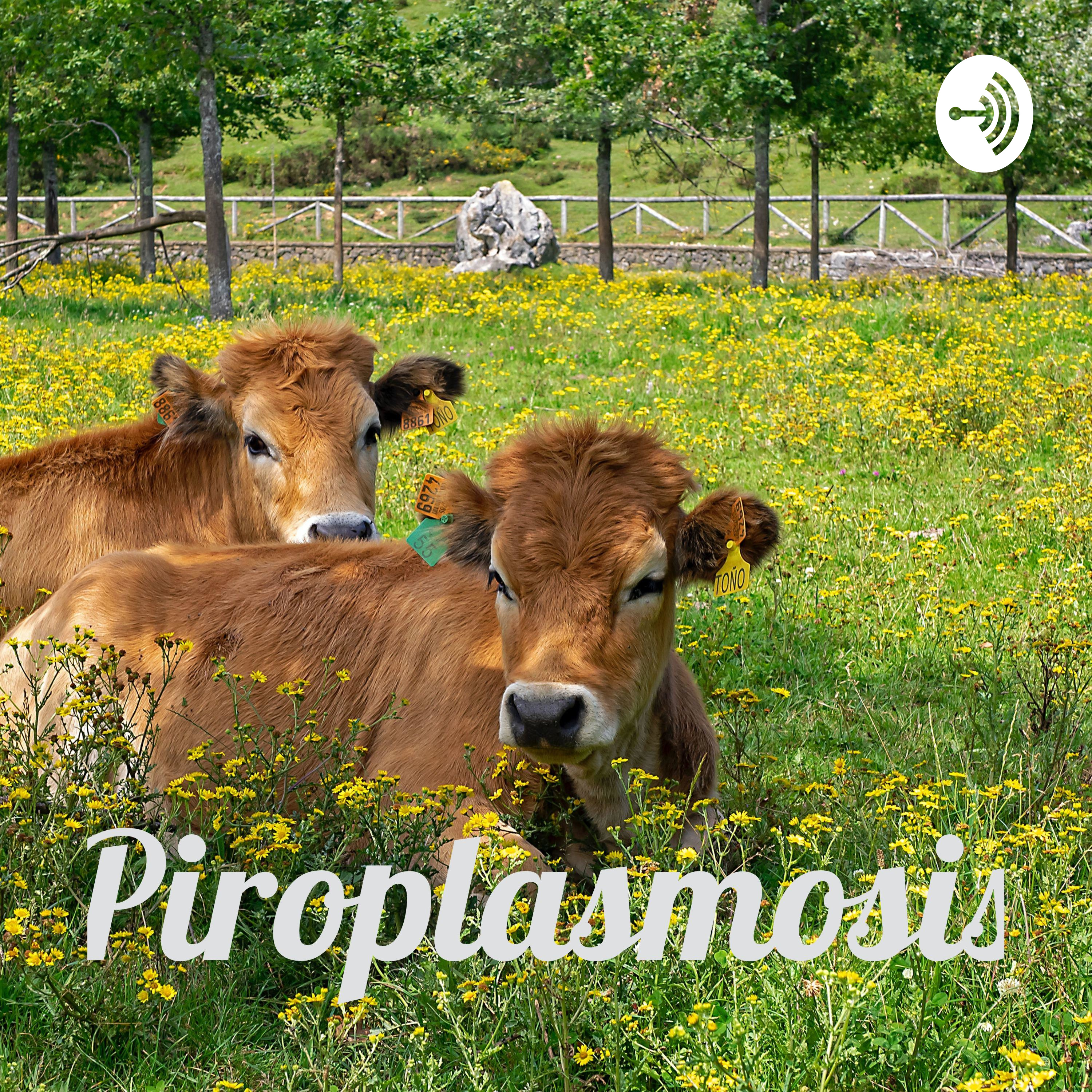 Karen yaneth Zelada puma