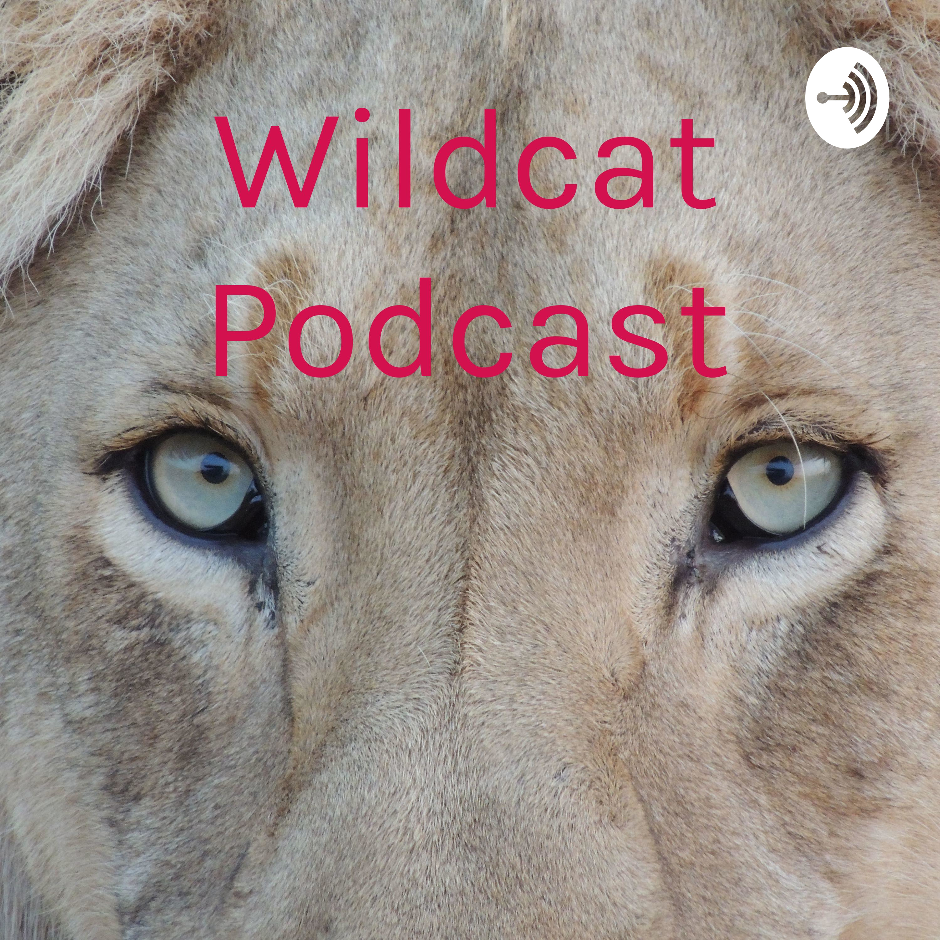 Wildcat Podcast