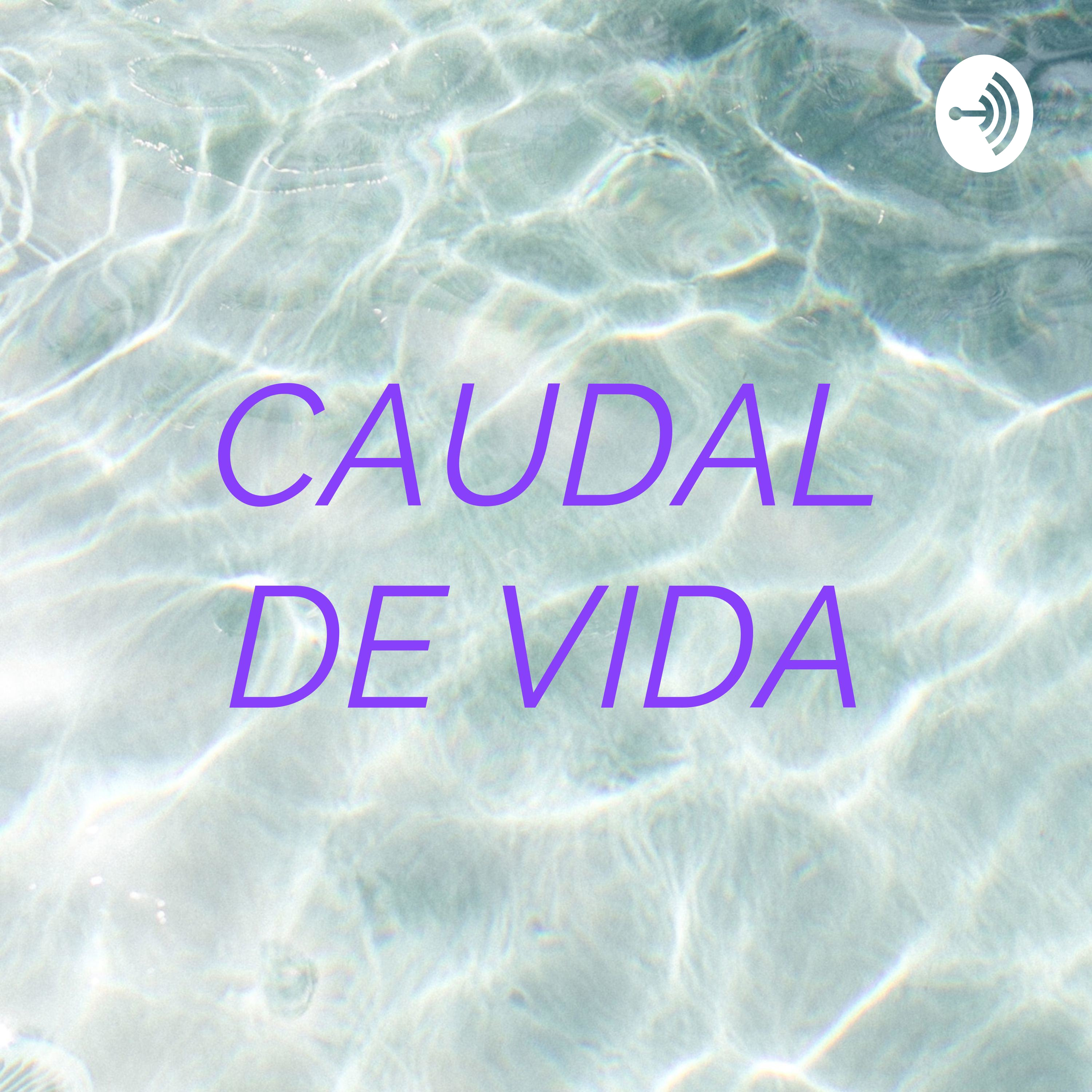 CAUDAL DE VIDA