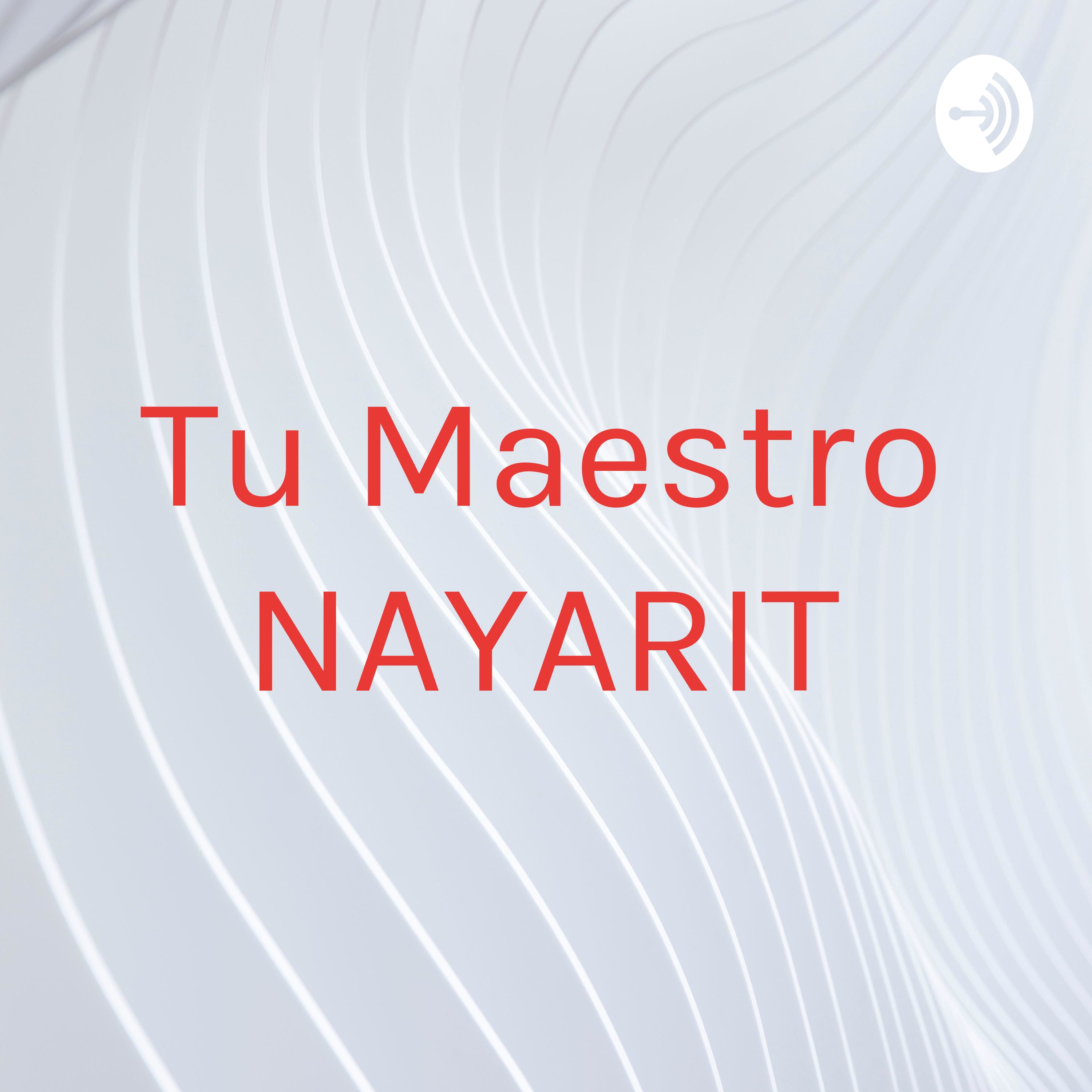 Tu Maestro NAYARIT