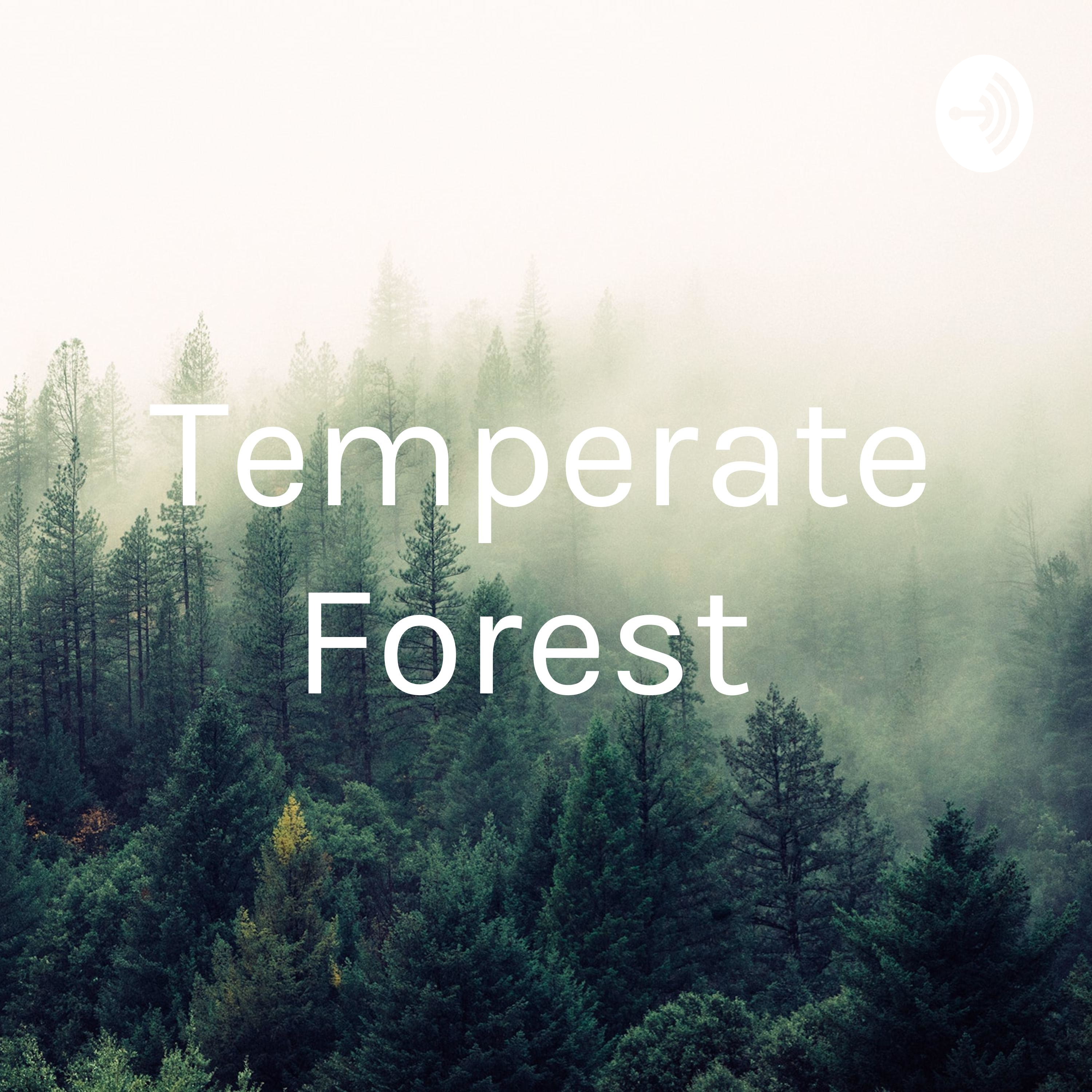 Temperate Forest 