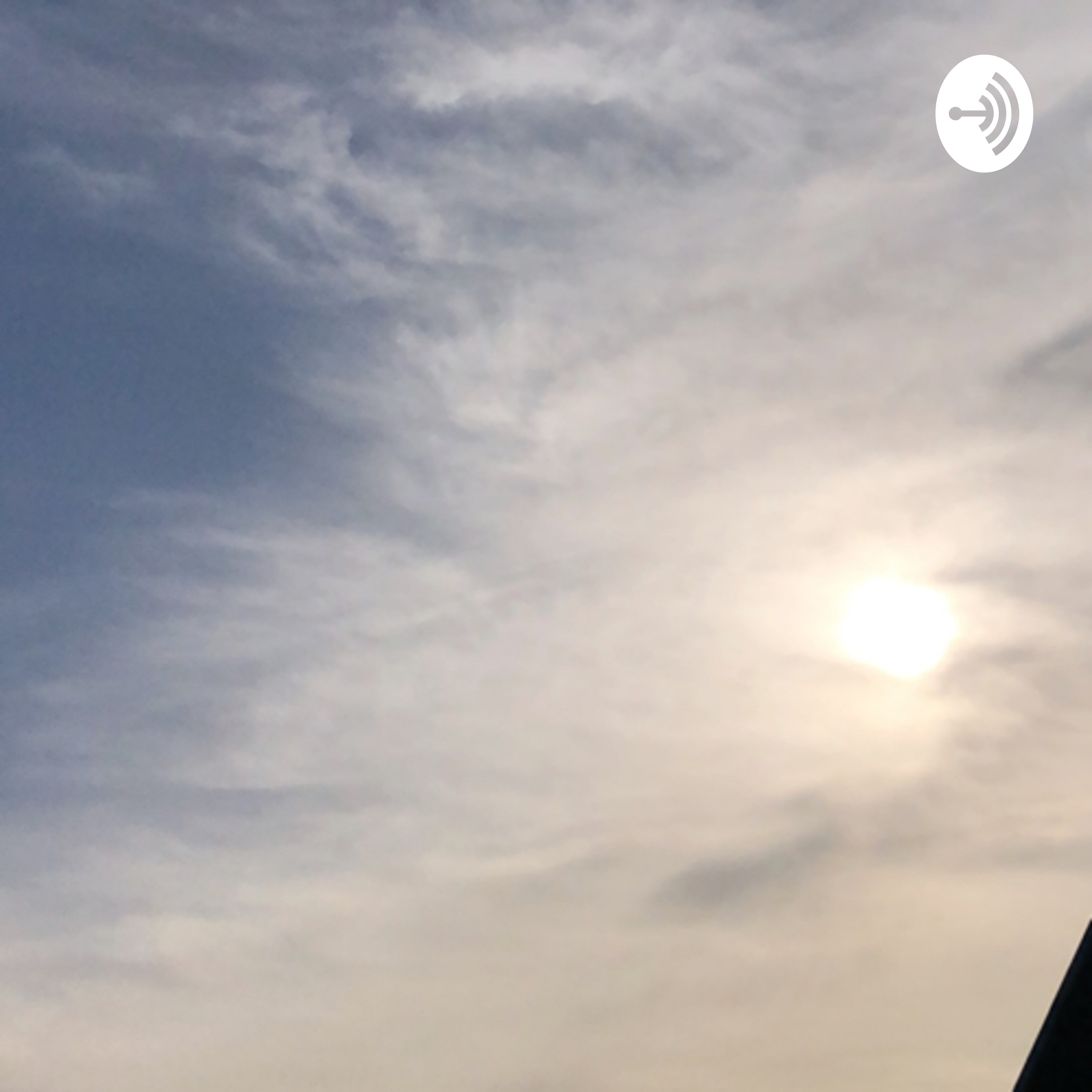 Sofie Hedensted af Sofie Hedensted