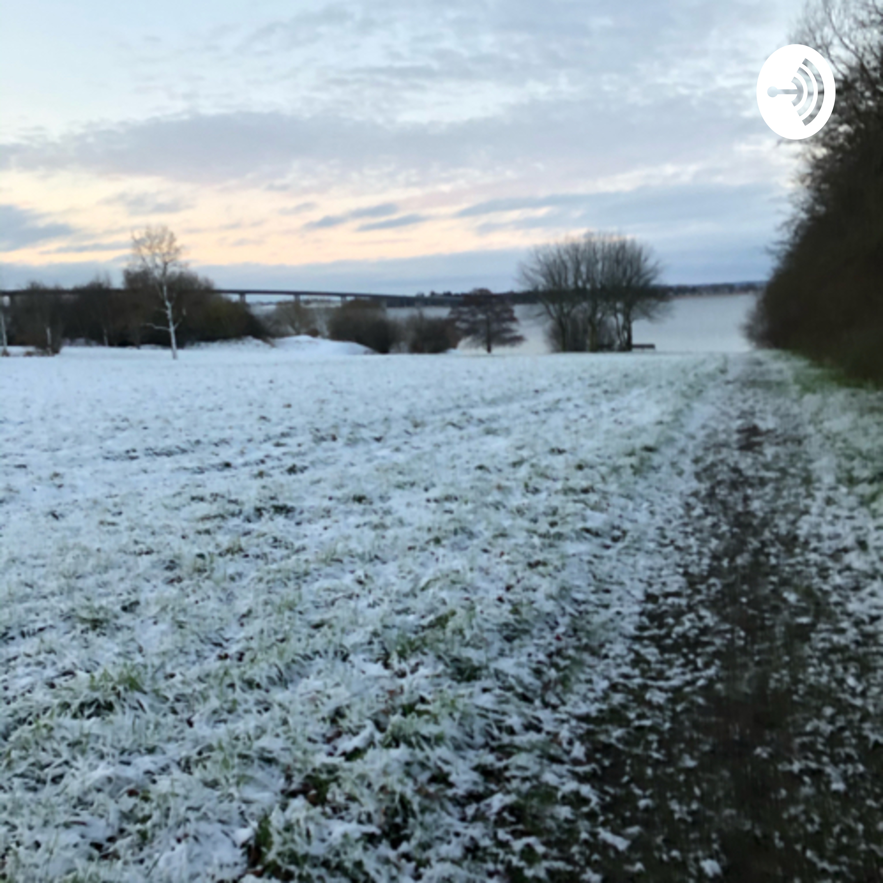 Corona og teenagere af Amalie Graversen