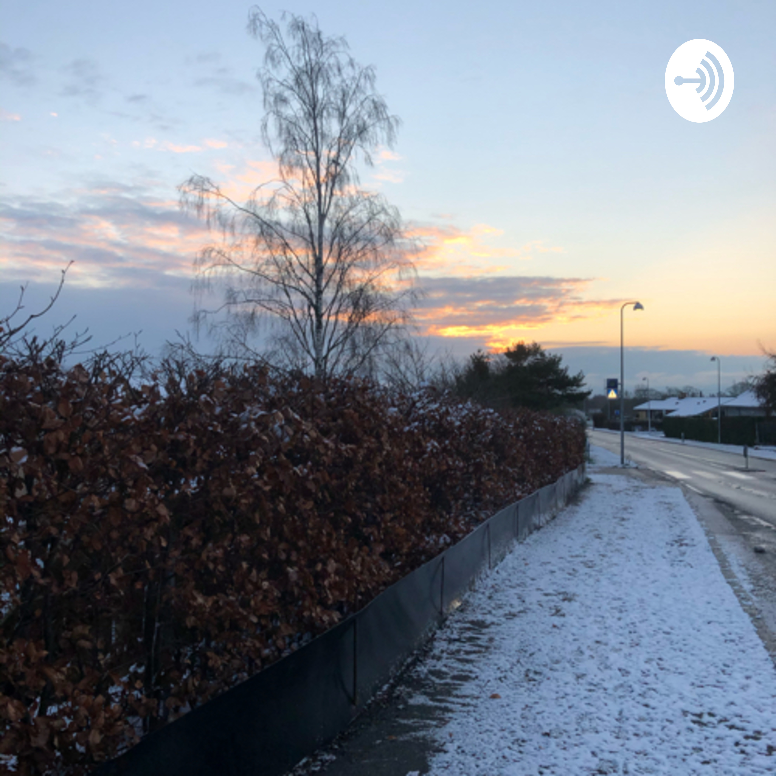 Corona og unge af Emilie