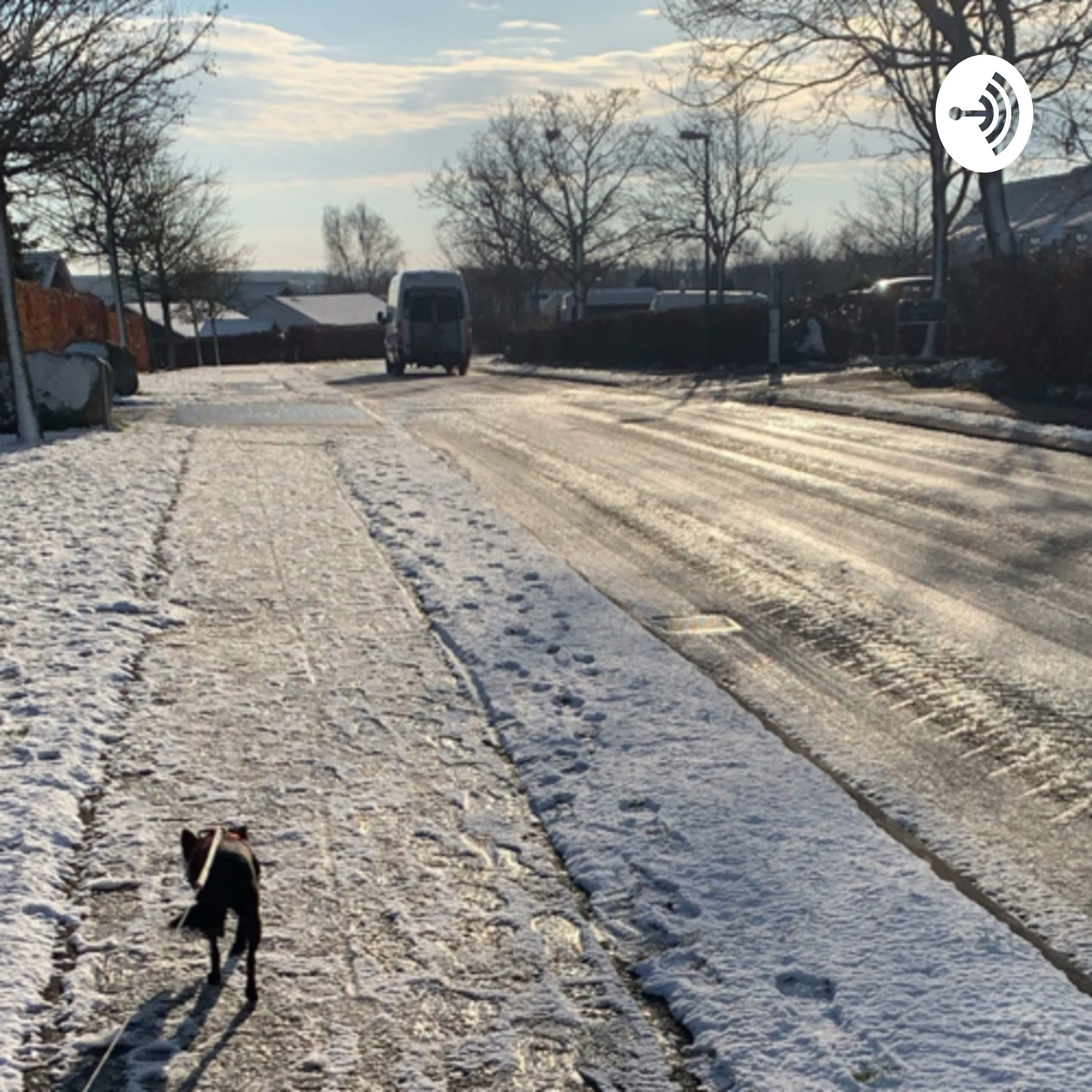 Anitas podcast af Anita Shaya