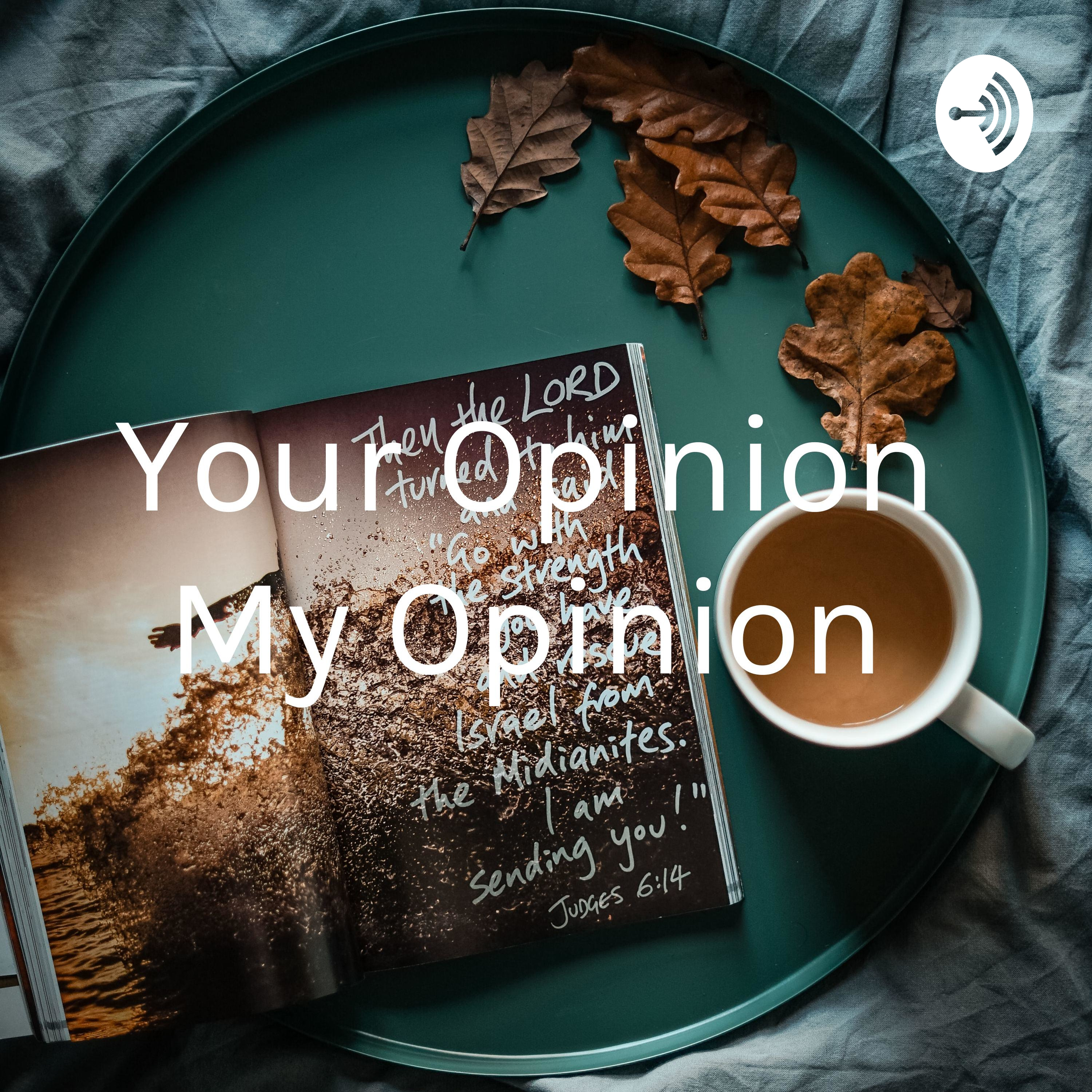 Your Opinion 