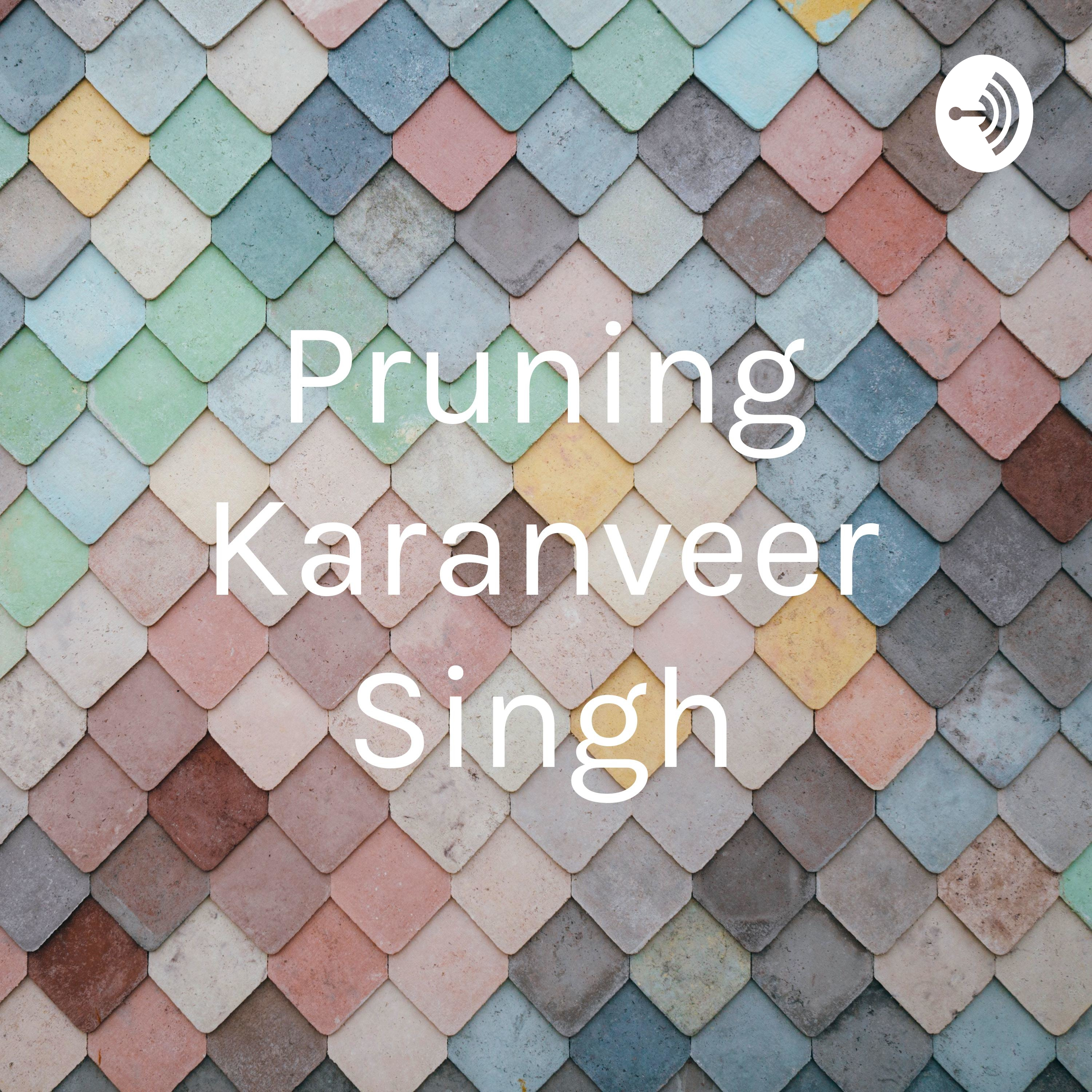 Pruning Karanveer Singh