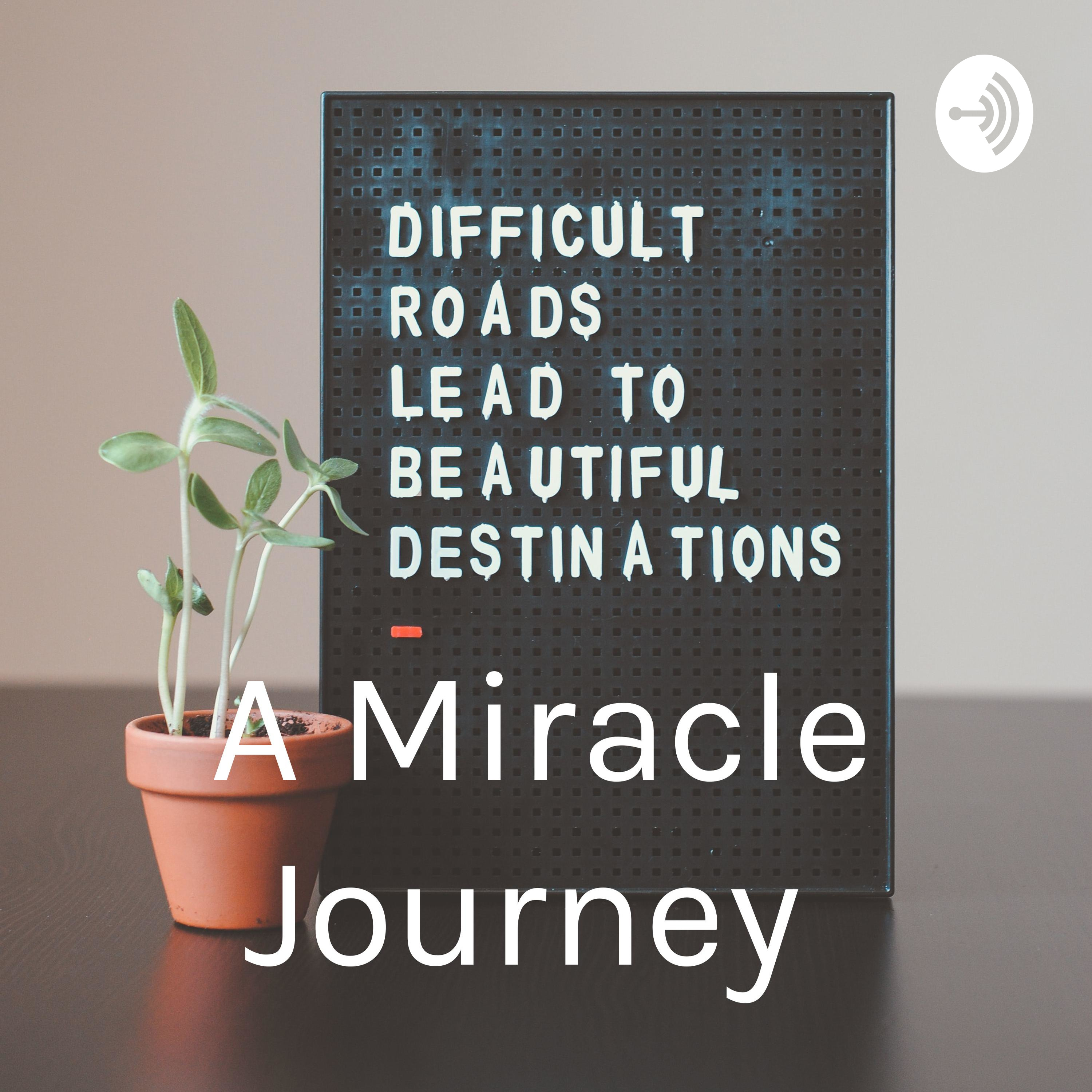 A Miracle Journey 