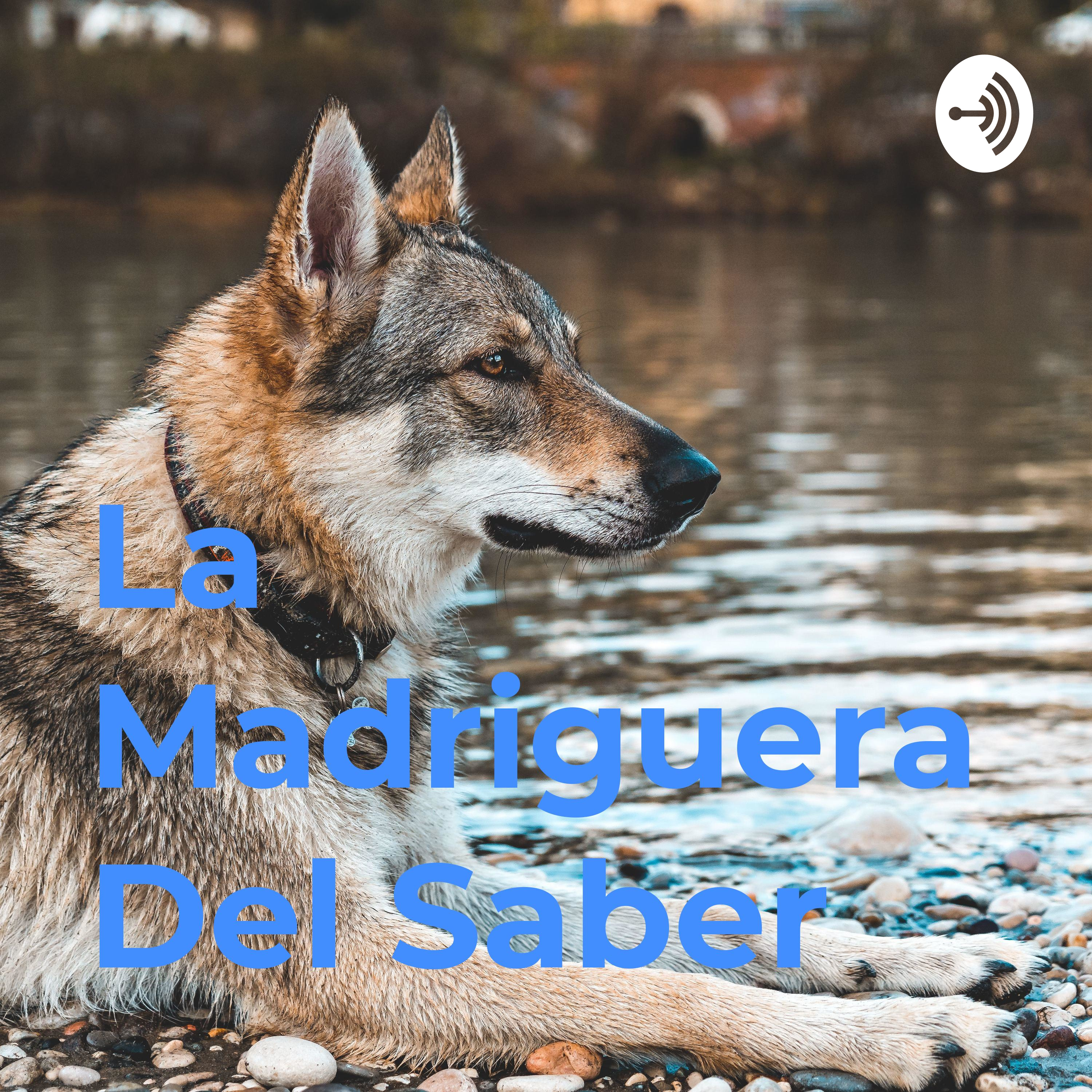 La Madriguera Del Saber