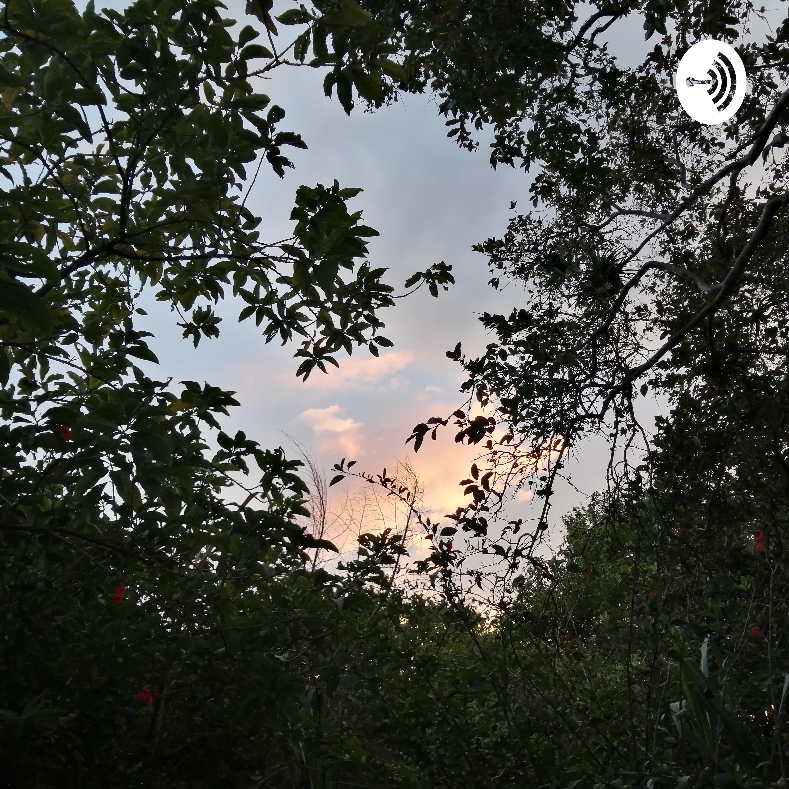 La Muerte De Un Familiar 