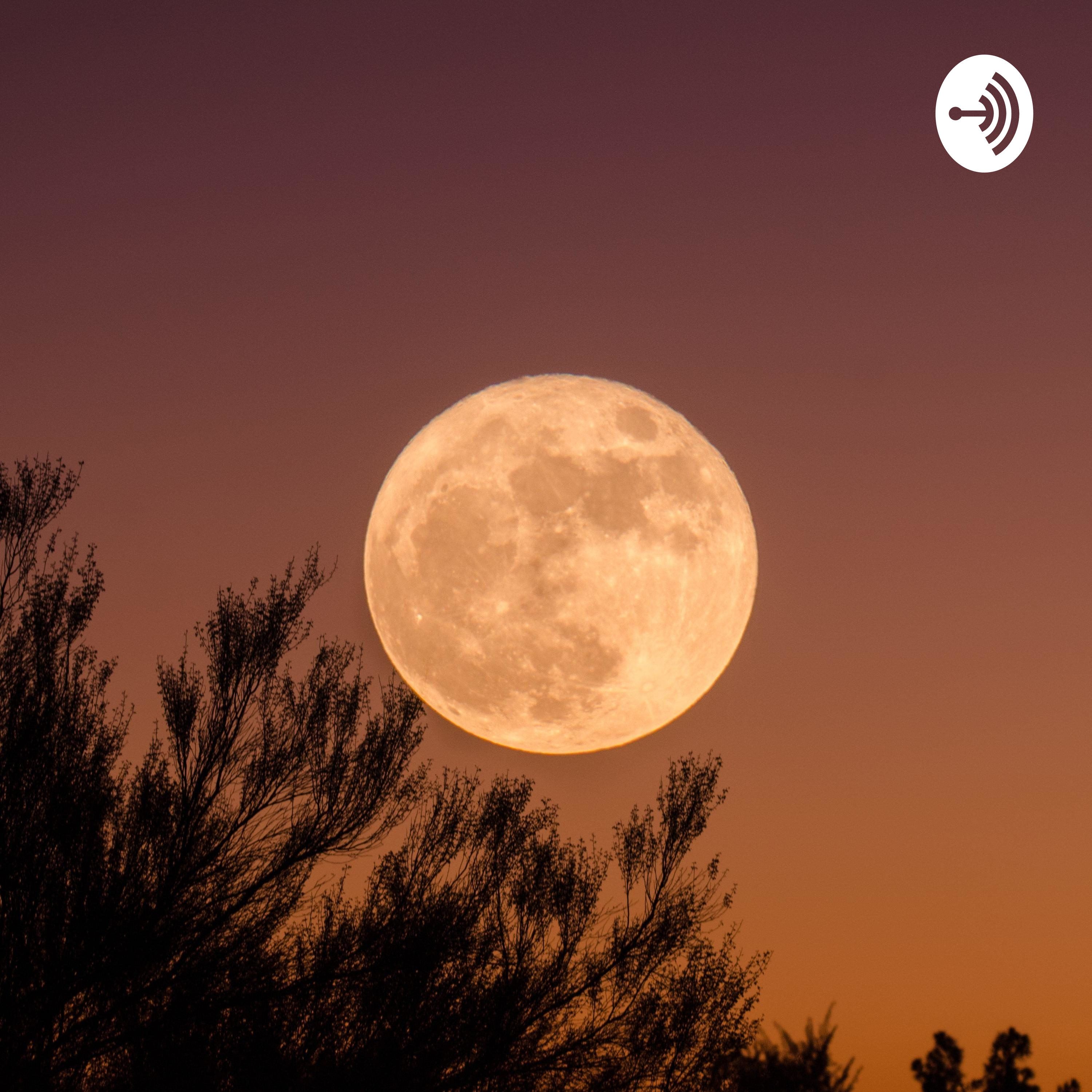 hummingmoon
