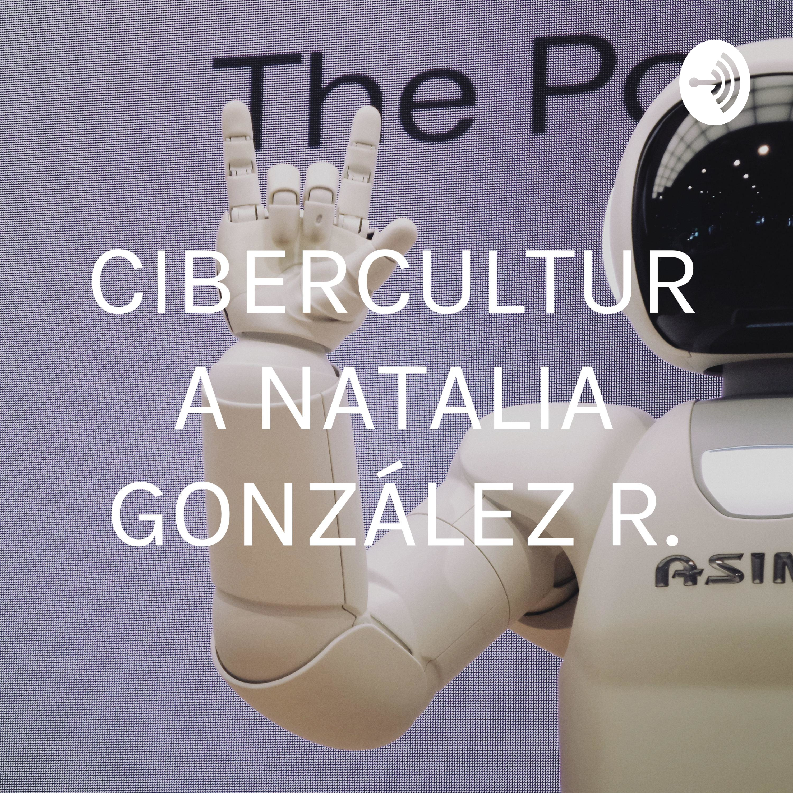CIBERCULTURA NATALIA GONZÁLEZ R.