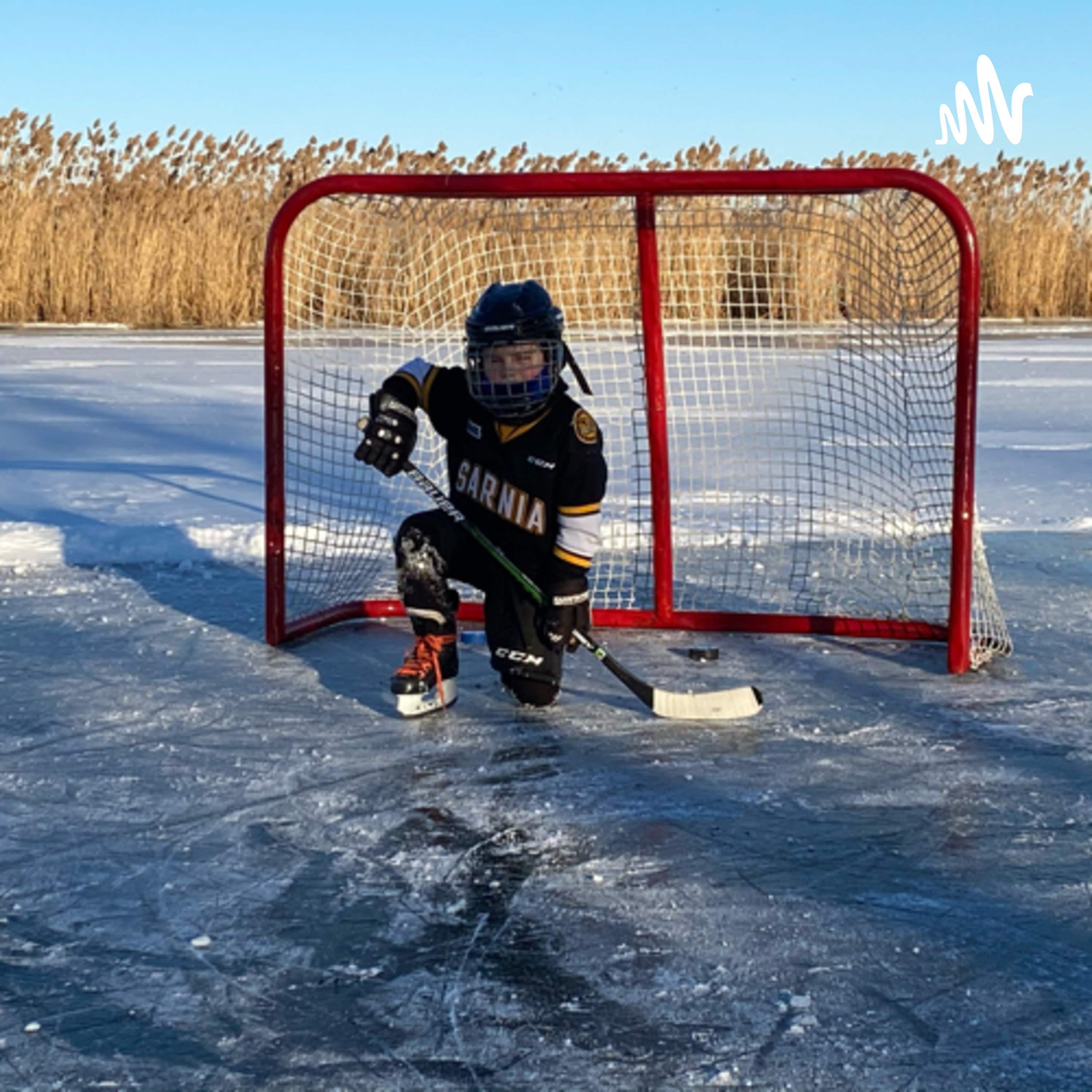 The Jeff & Ry Hockey Podcast (Interviews)