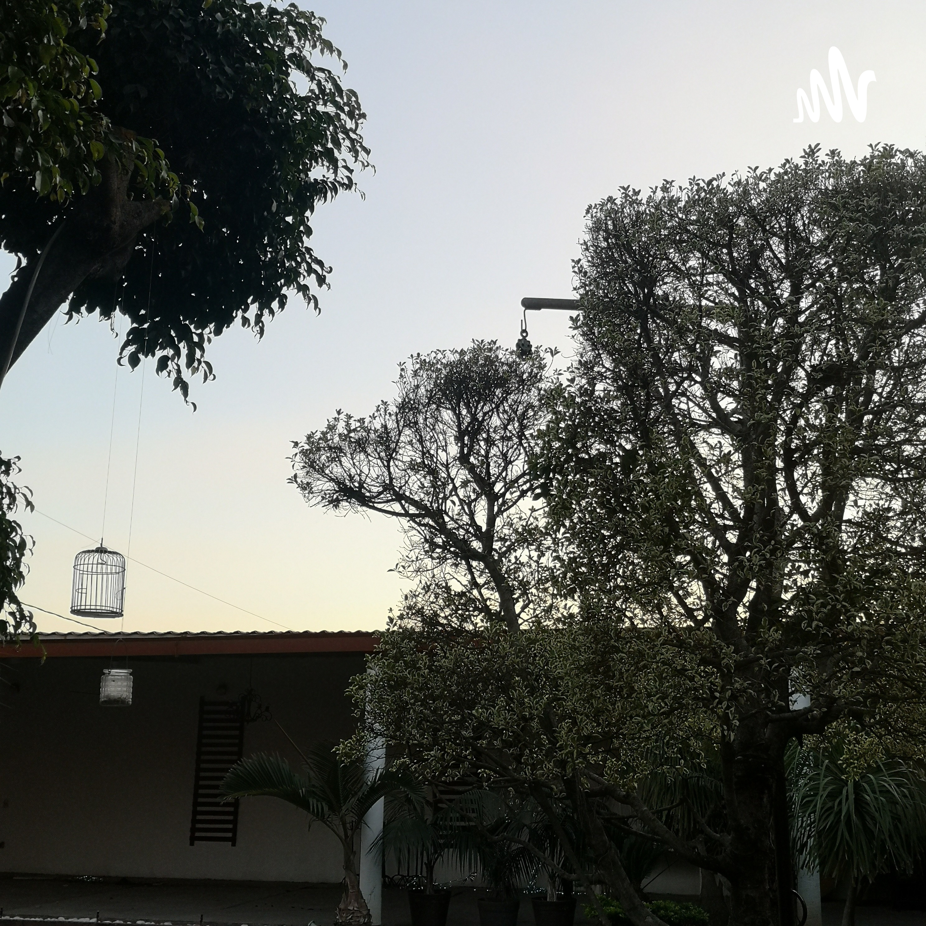 ¿Qué Hacemos En Negocios Internacionales? 