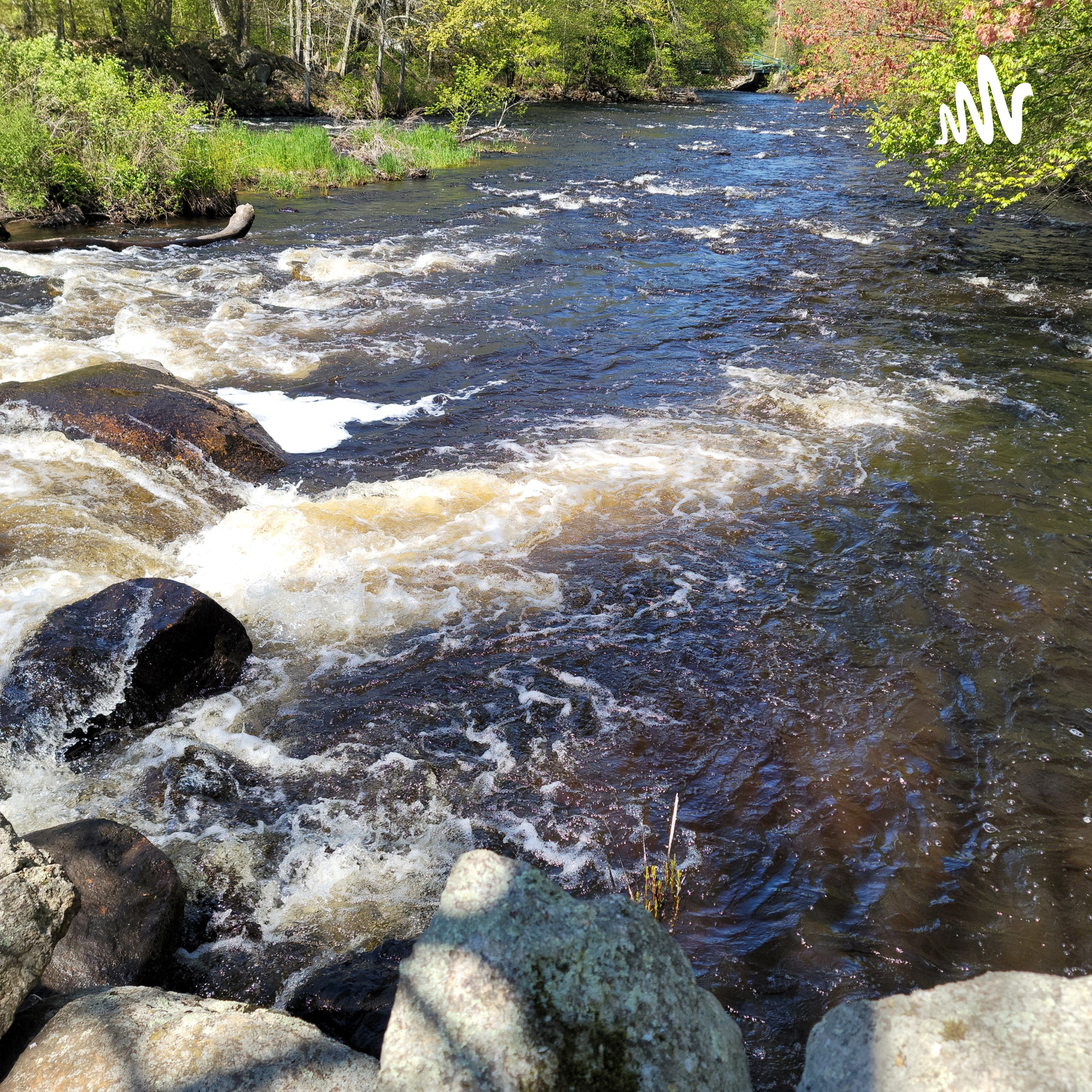 Can I Debate? cover art