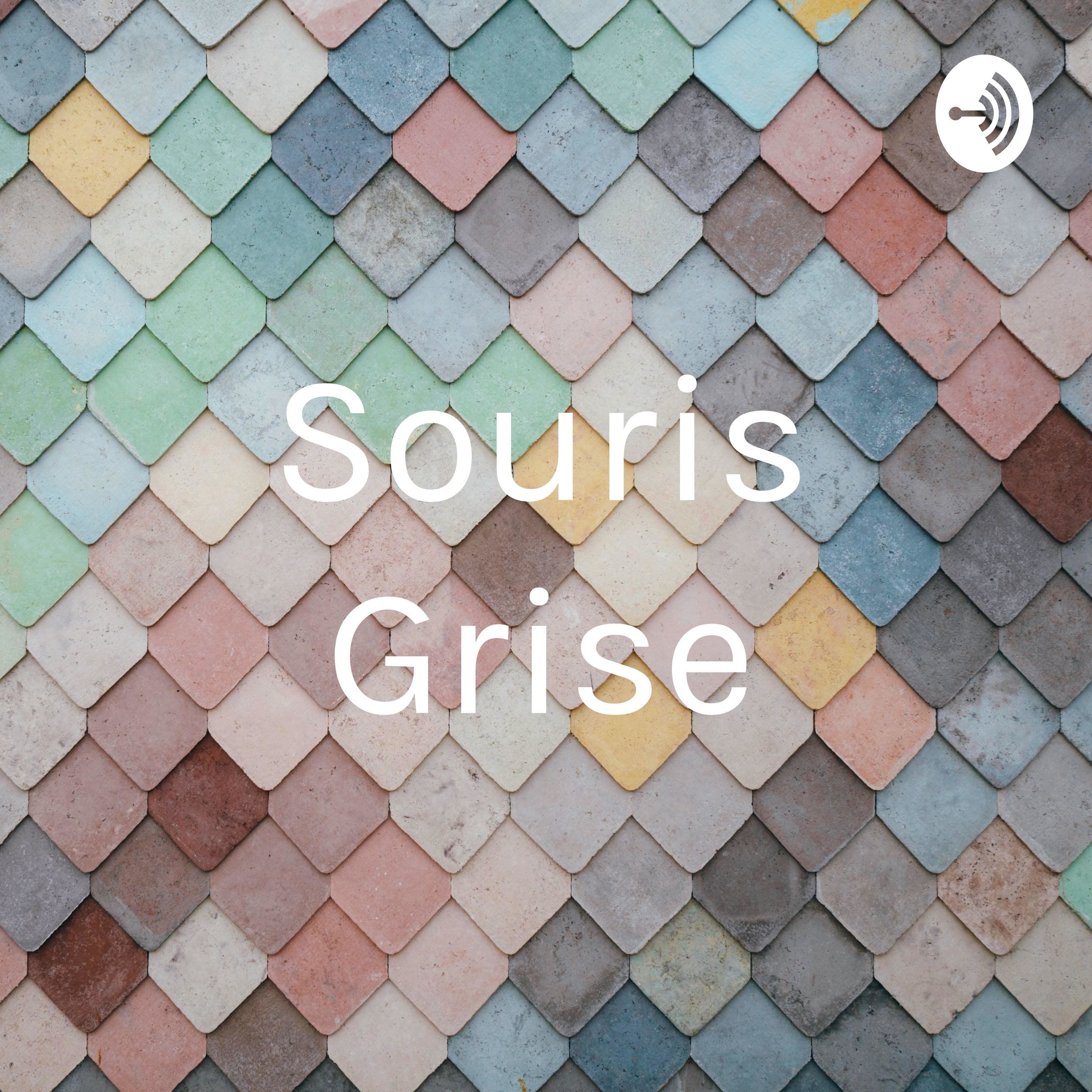 Souris Grise
