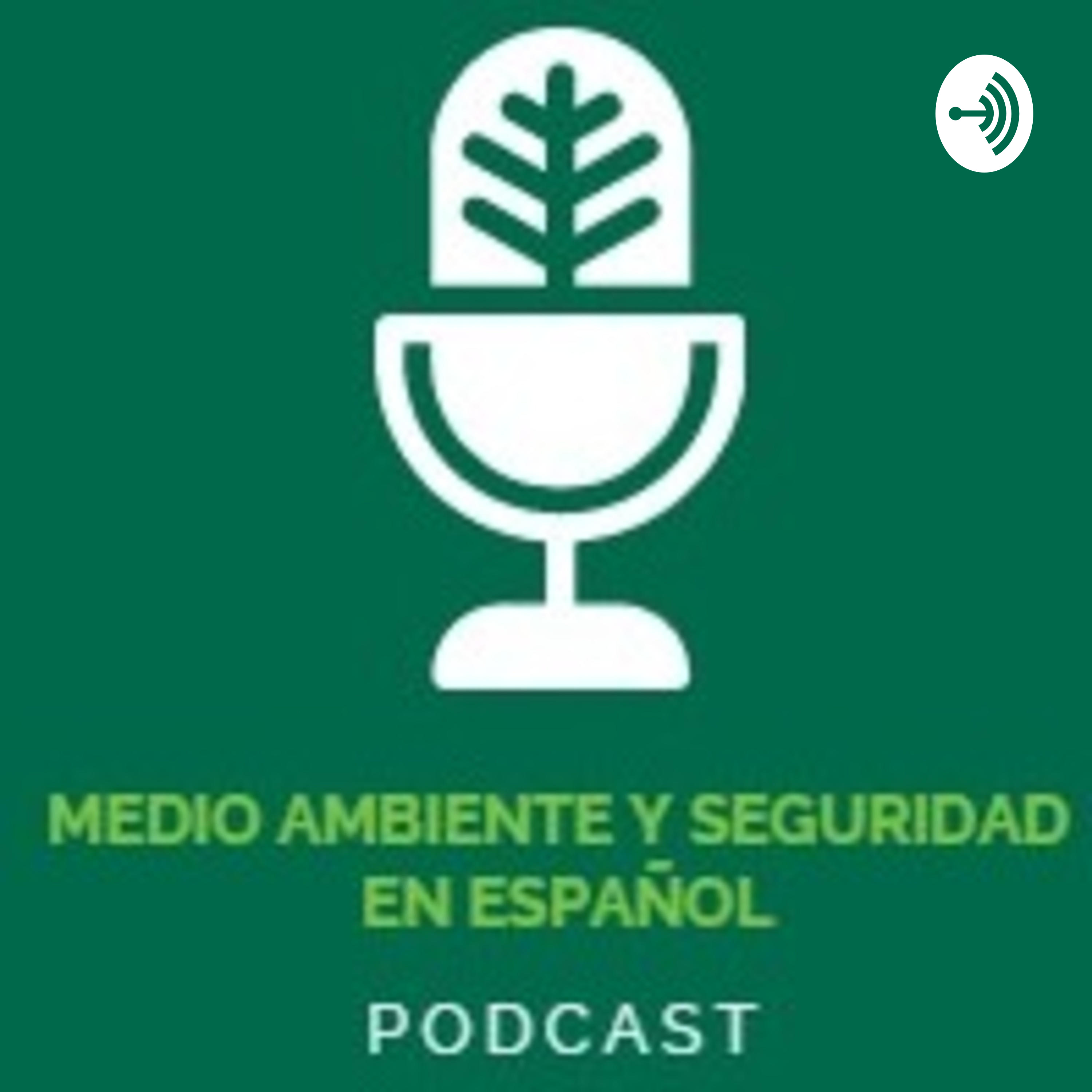 Medio Ambiente y Seguridad en Español