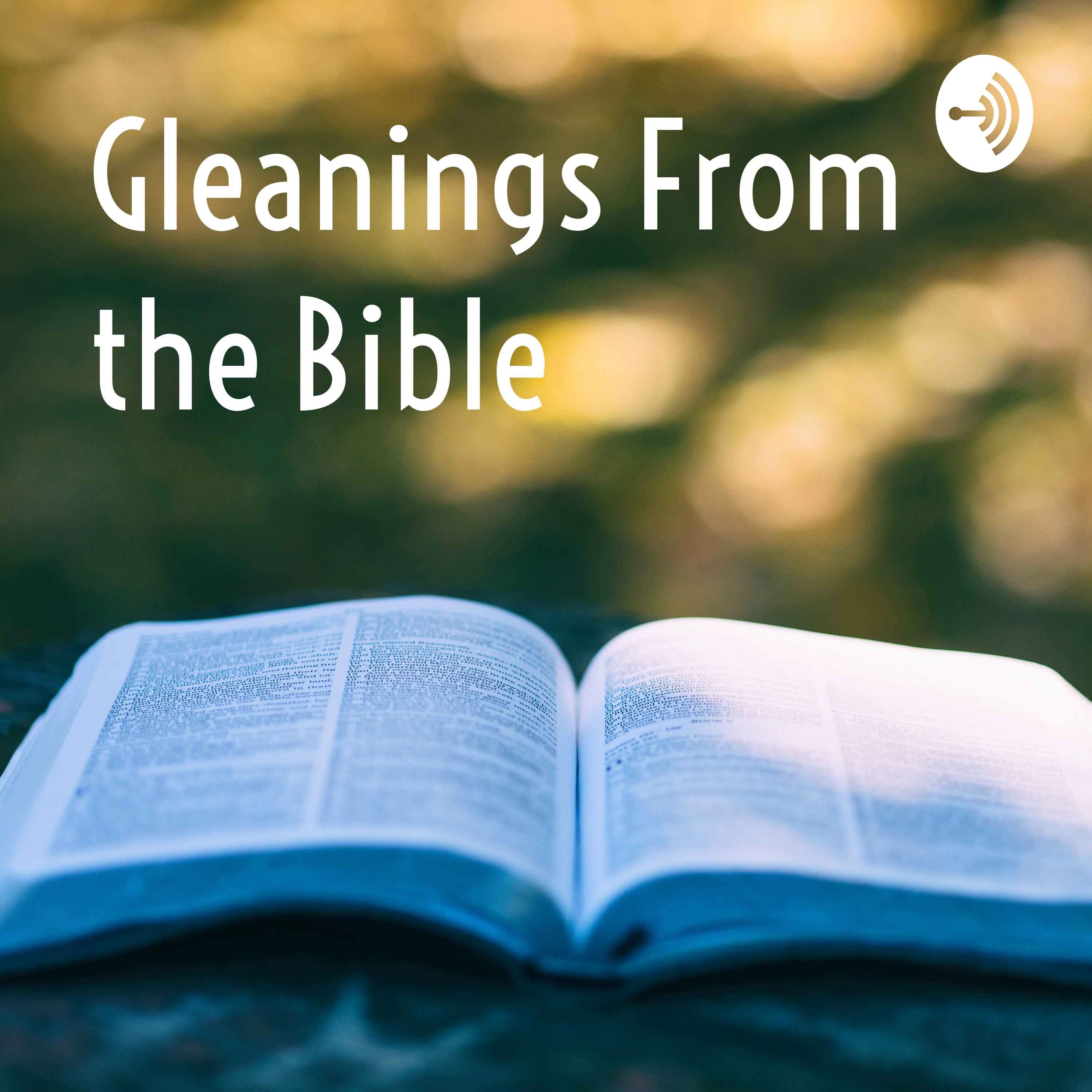 Gleanings From the Bible 