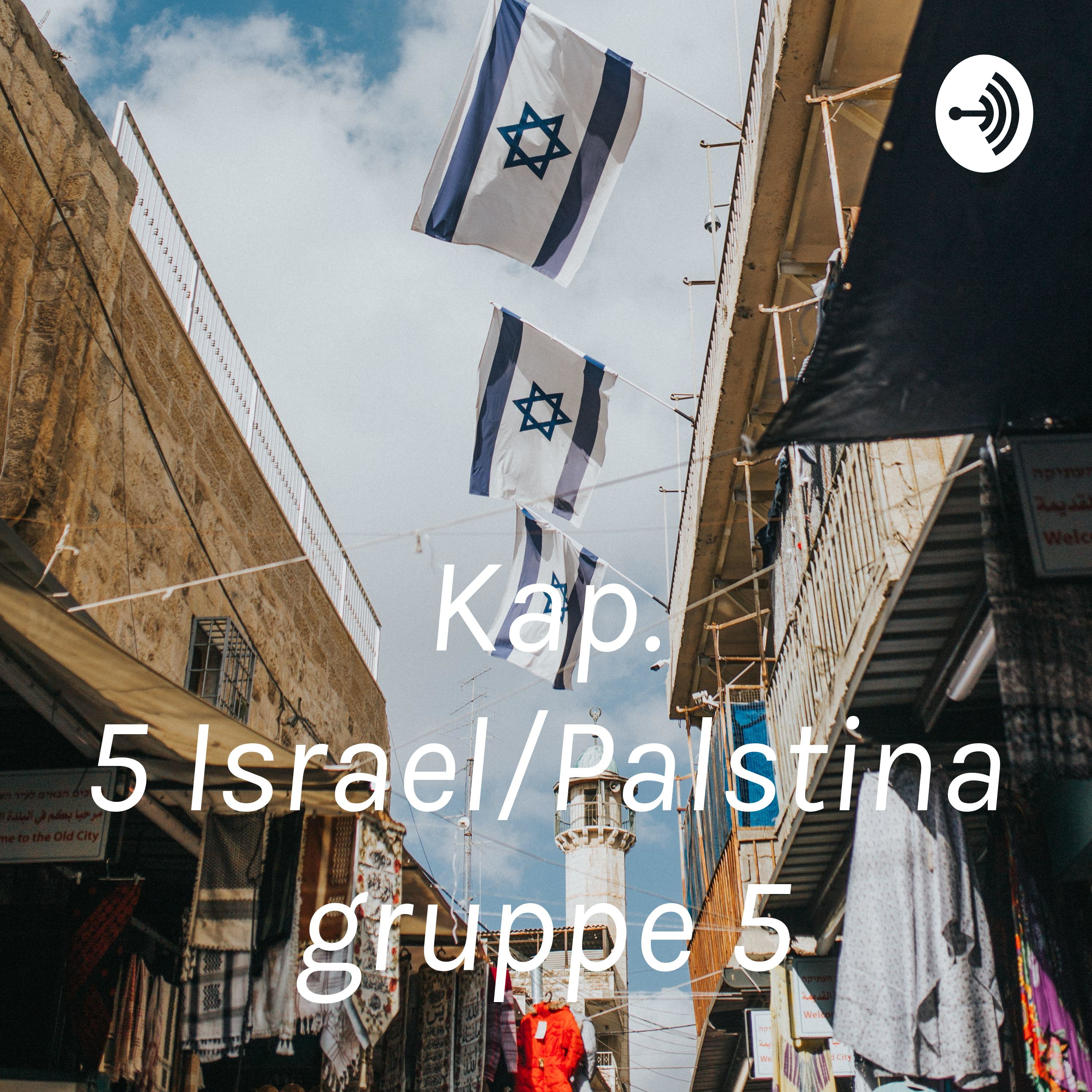 Kap. 5 Israel/Palæstina gruppe 5 af Kamilla Stæhr