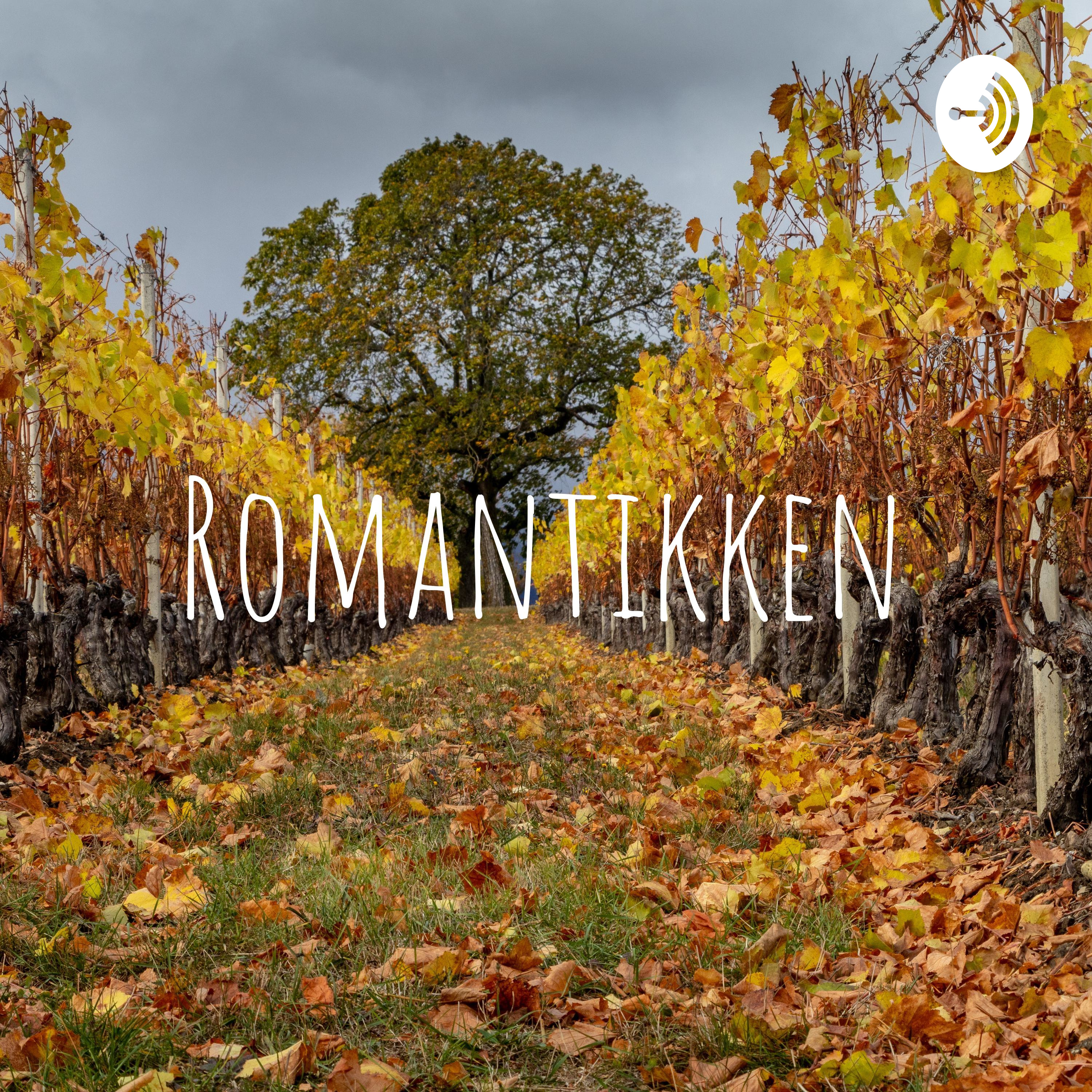 Romantikken af Barbara Trolle