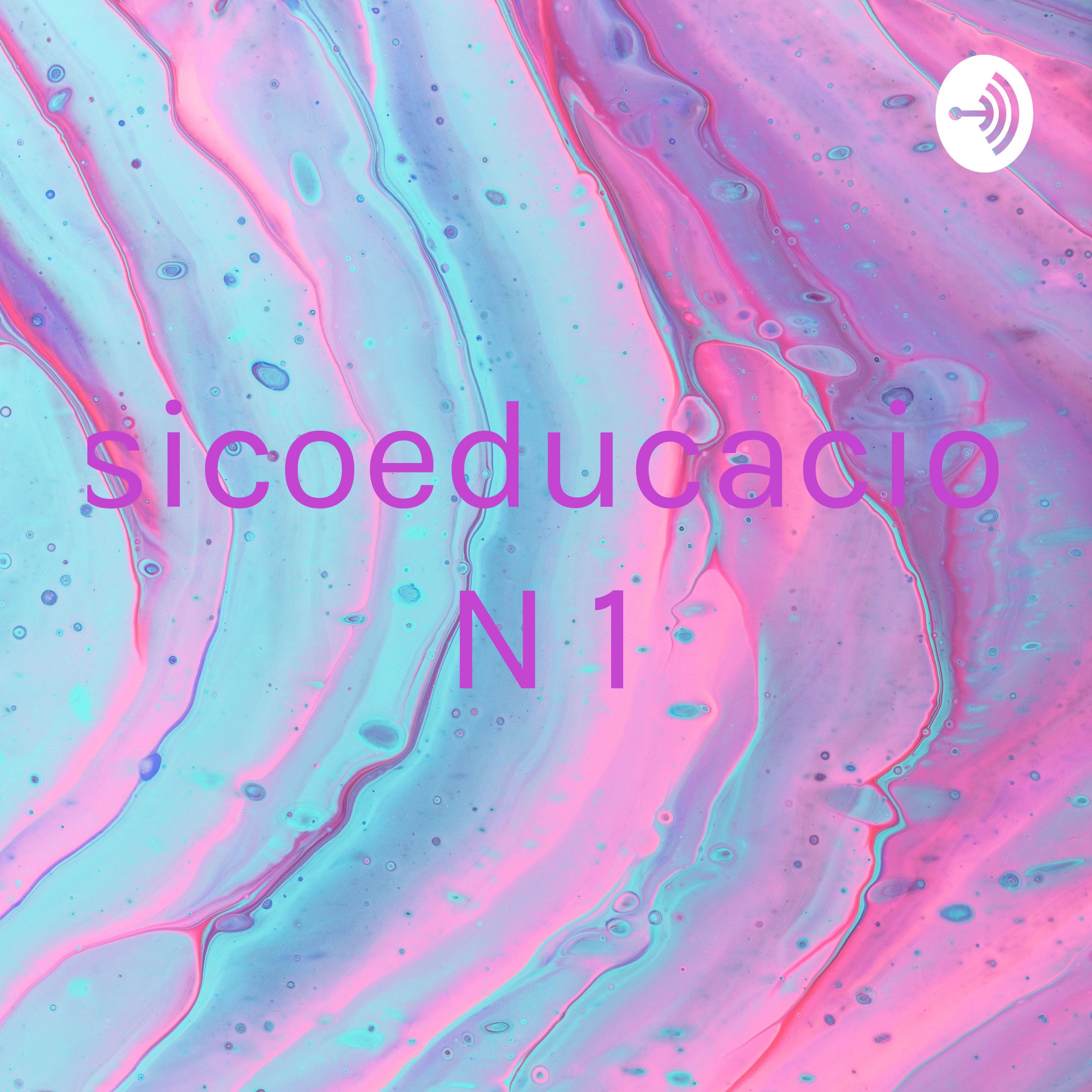 Psicoeducacion N° 1