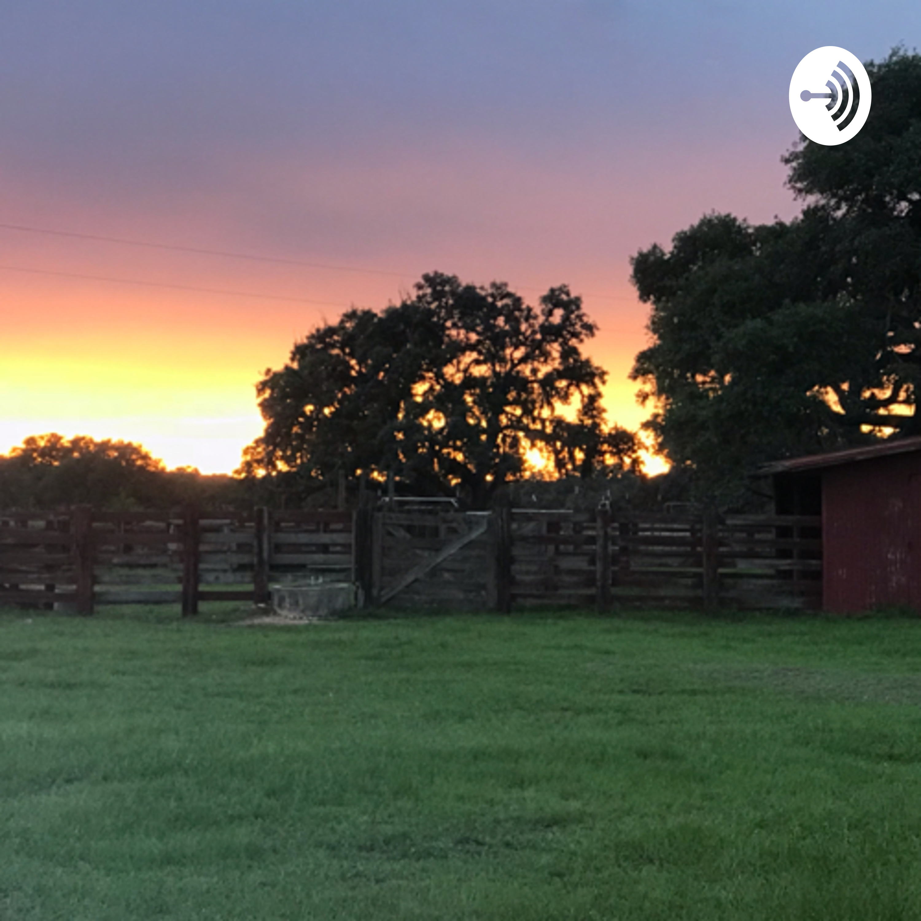 Random Acts or God’s Intervention