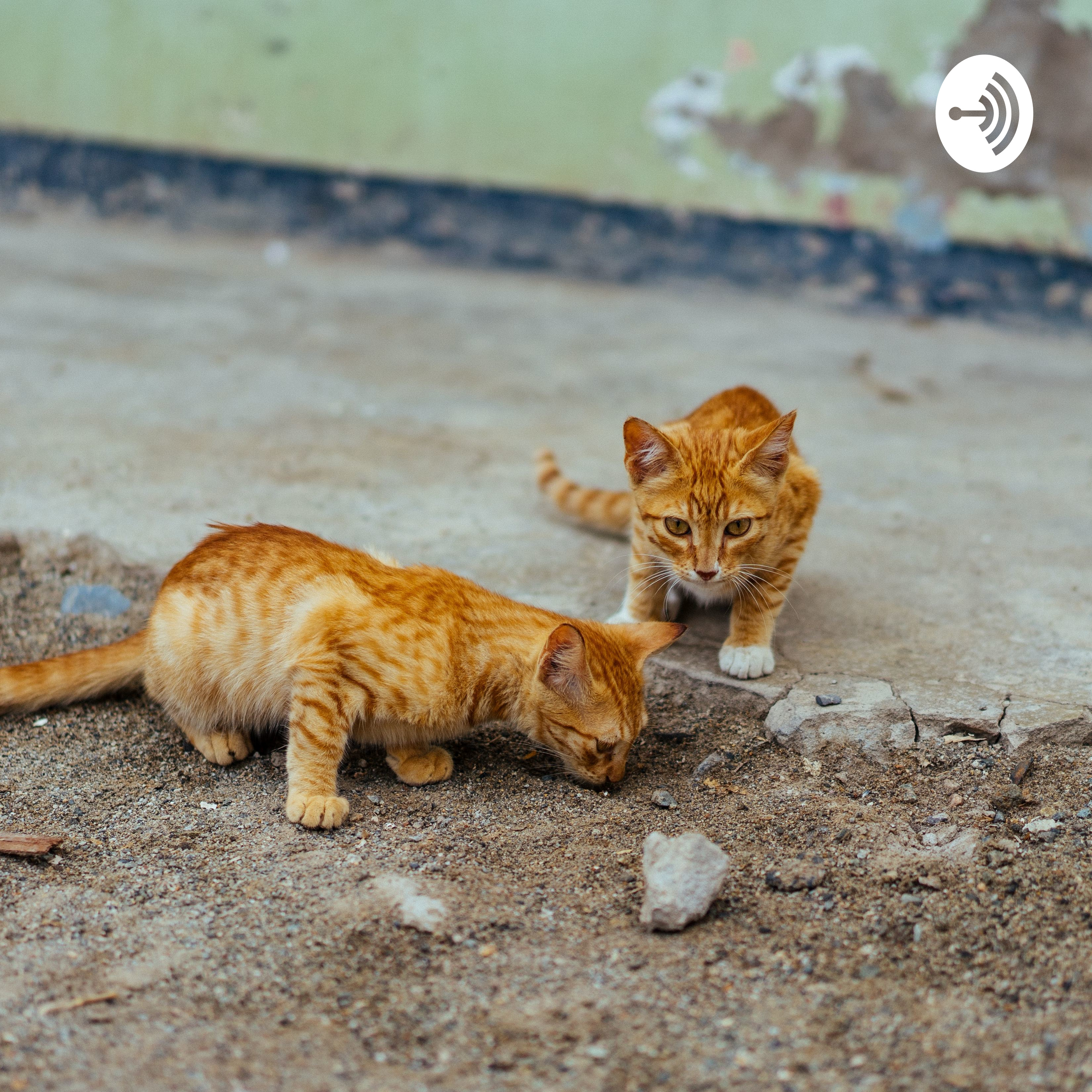 #InfinityForeverAroundTheWorld