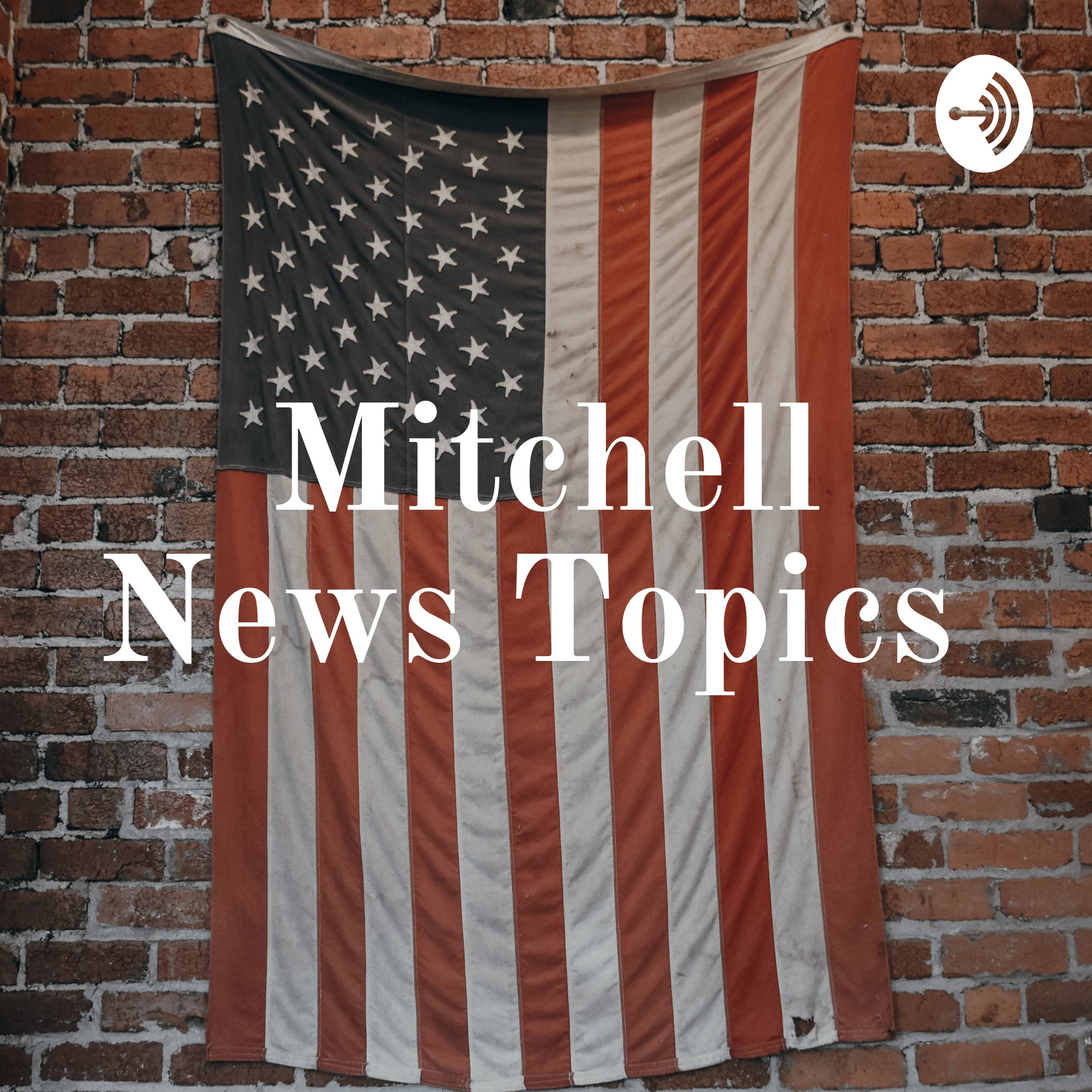 The Will Mitchell Show