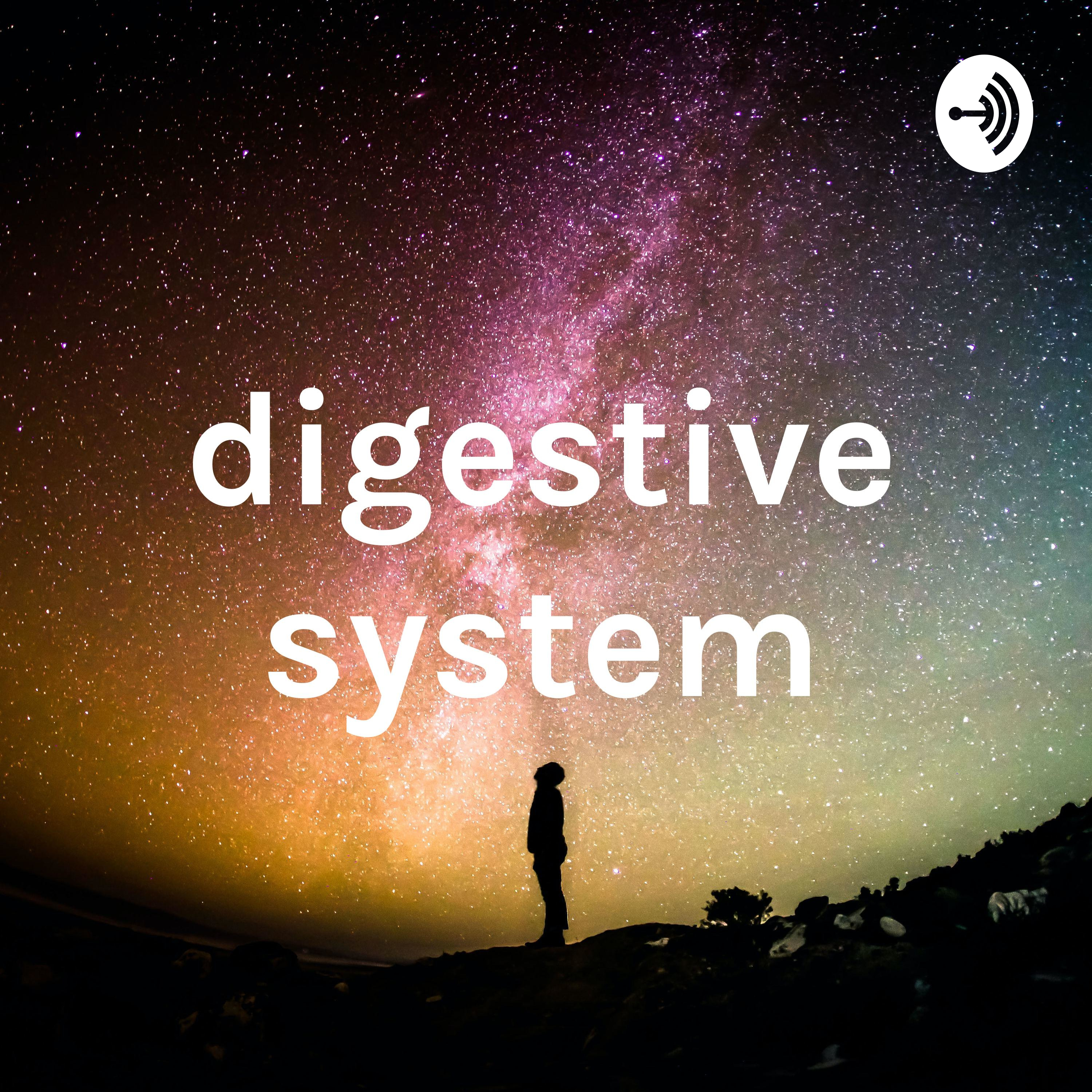 digestive system