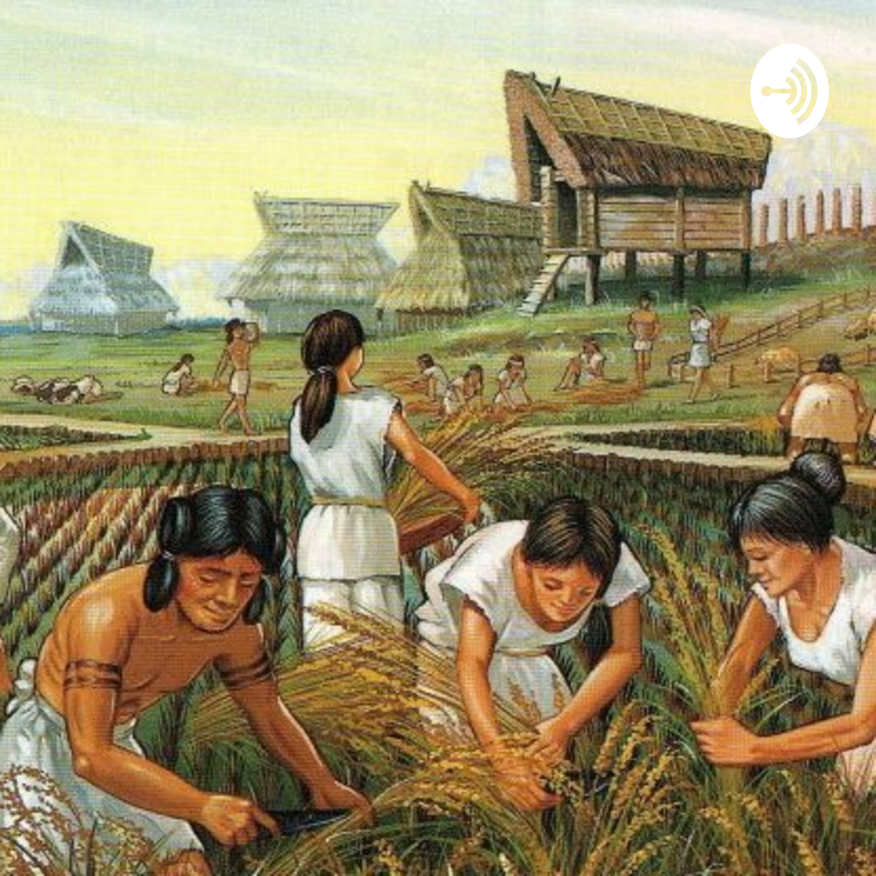 La Agricultura En La Evolución Neolitica 